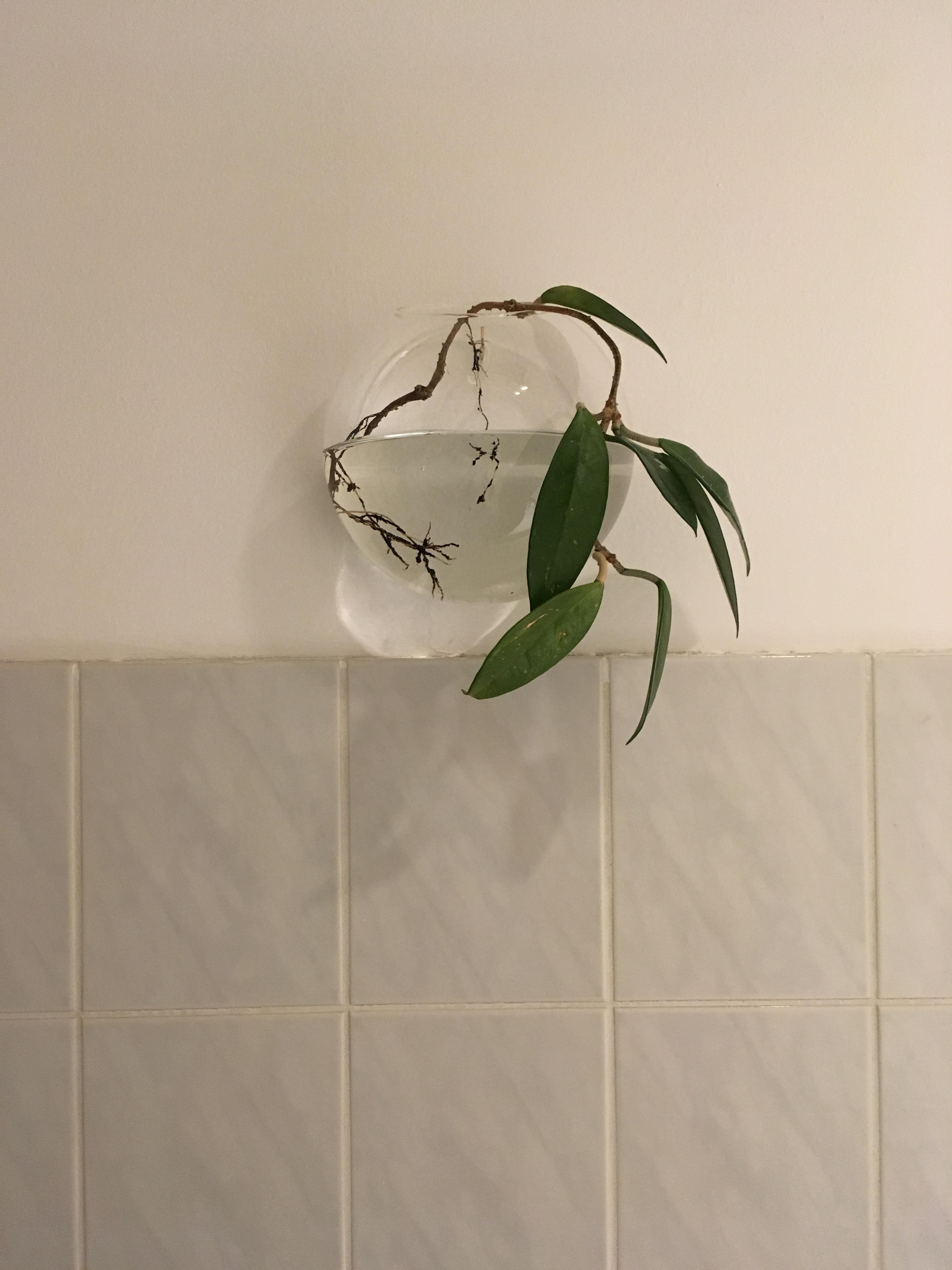 #minimalistic#bathroom#white#tiles#porcelaine#glas#water#flowers