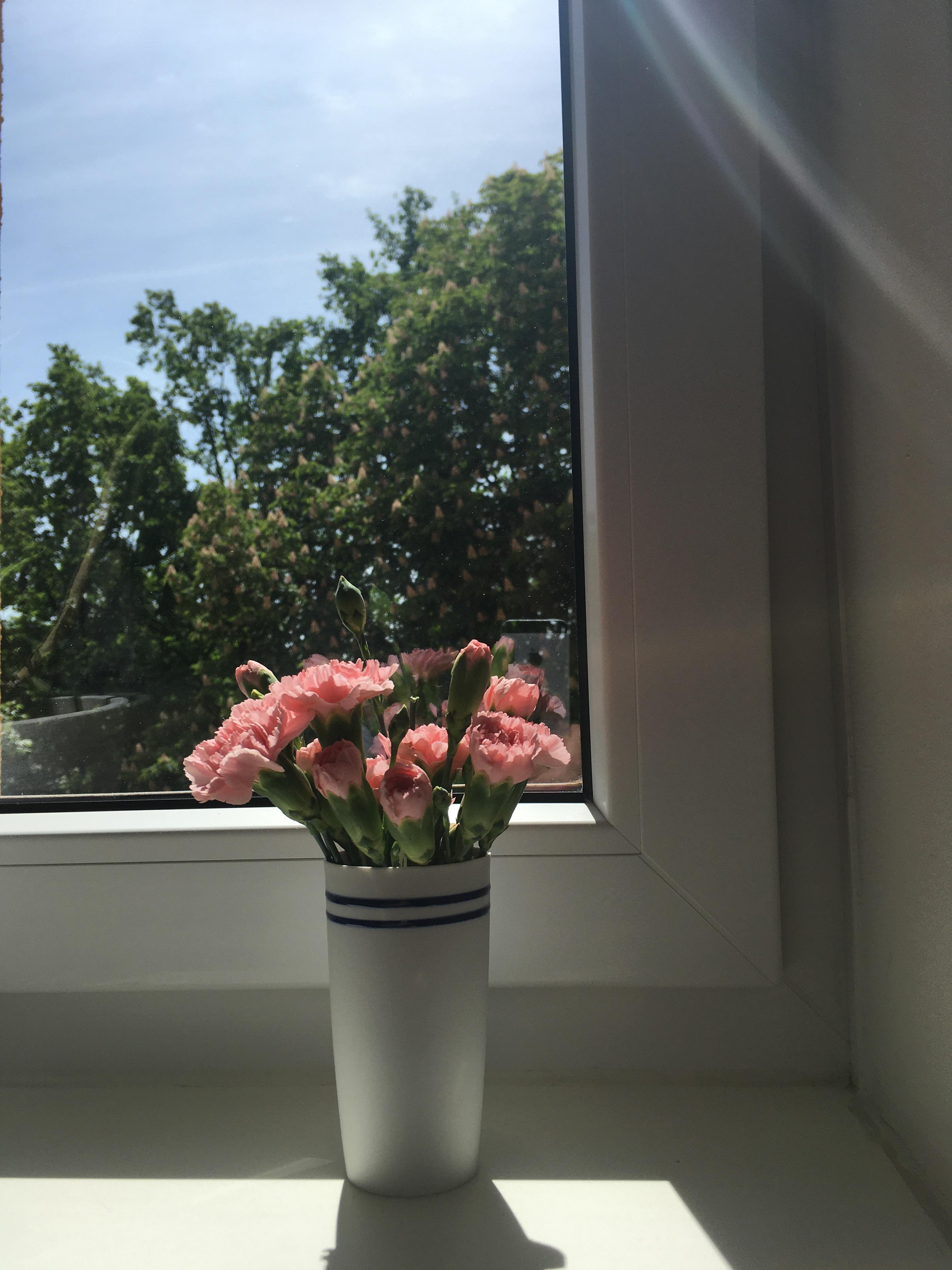 #minimalistisch#flower#sun#white#pink#bathroom