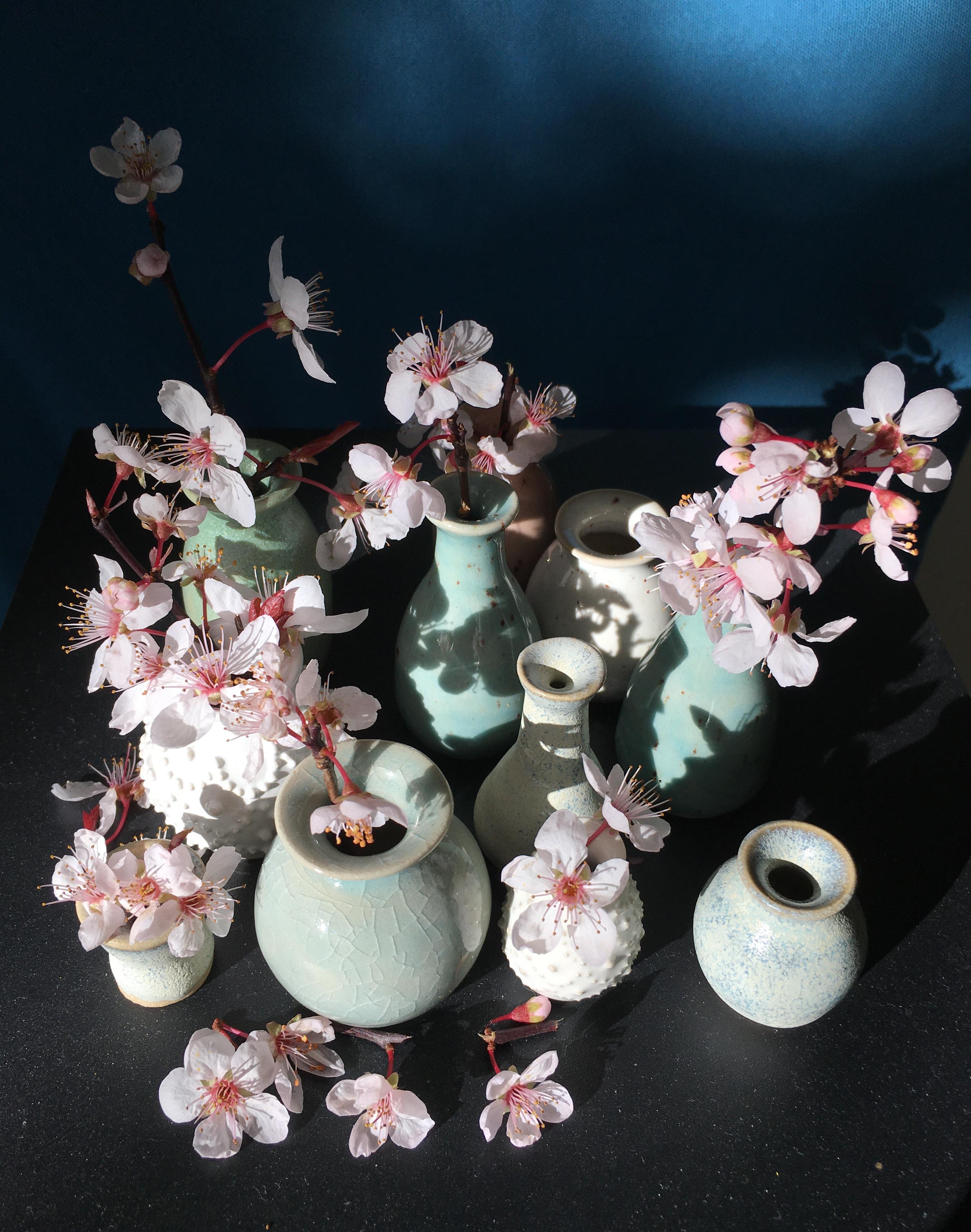 Minivasen in Pastellfarben -mein Deko-Highlight !!!
#minivasen #keramik #freshflowers #vase #blumen #dipkeramik