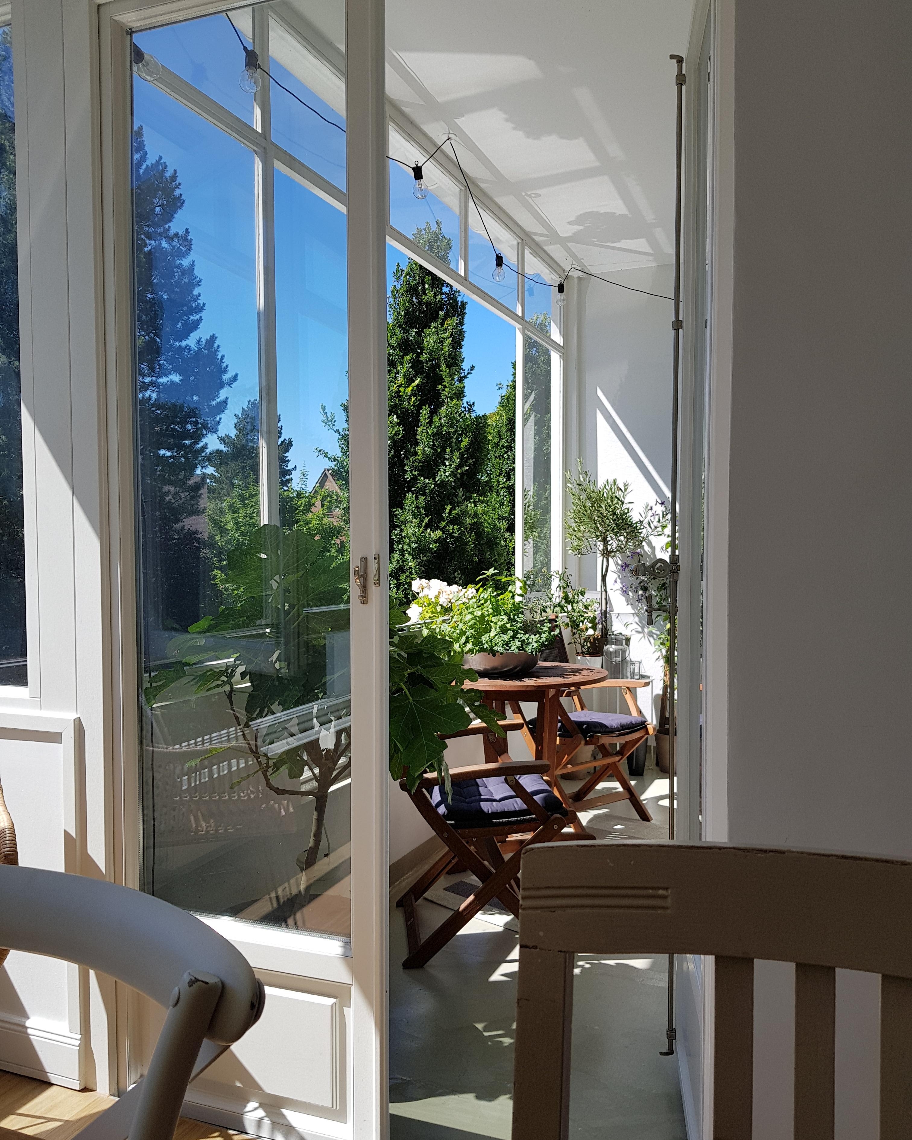 Mir wird der Sommer sehr fehlen, obwohl so gemüdliche auf Couch kann es auch schön sein #balkon #pflanzen #blumen 