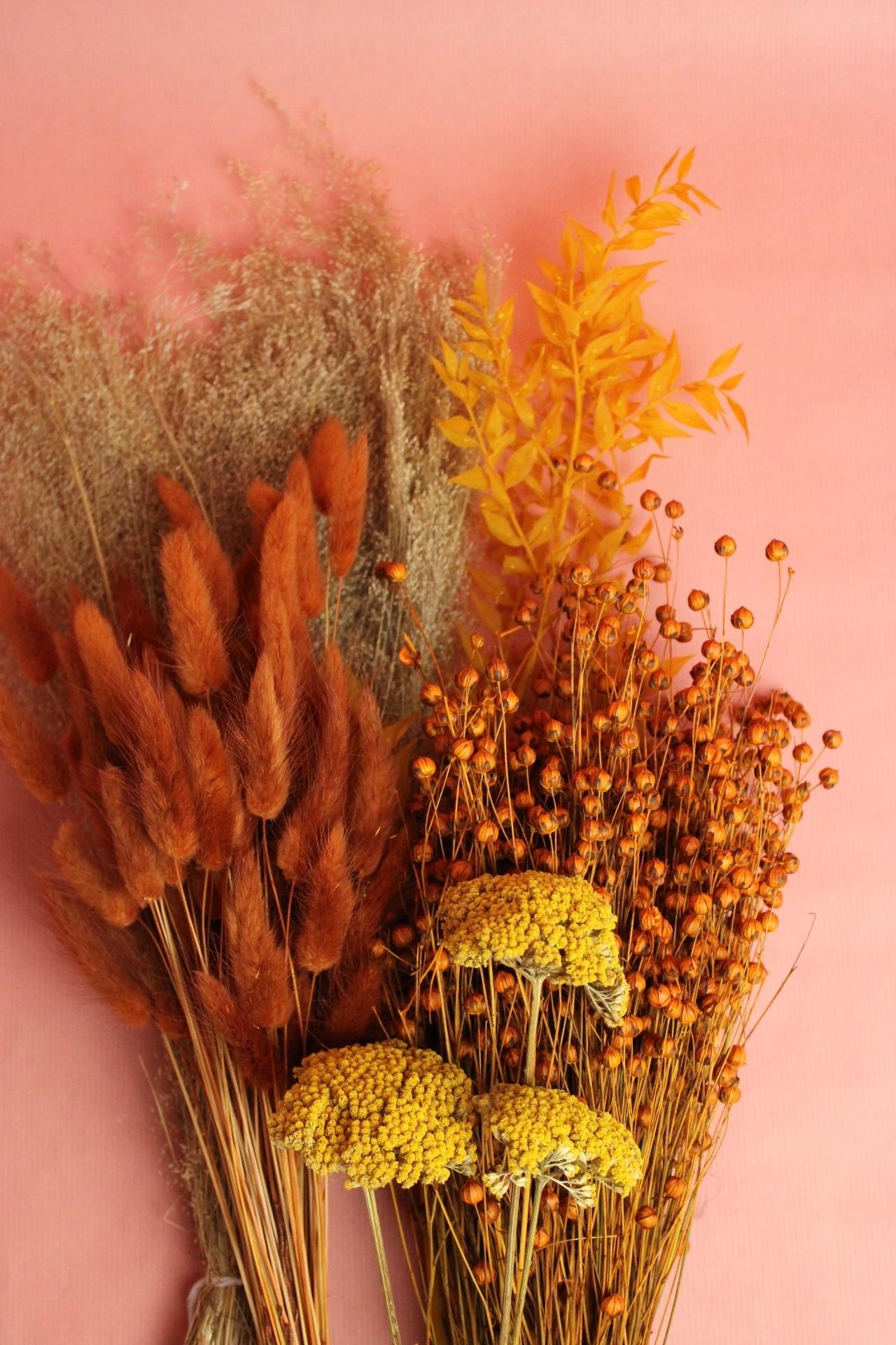 Mit den perfekt abgestimmten DIY-Boxen kannst du mit den Trockenblumen herbstliche Stimmung in dein Zuhause bringen. 