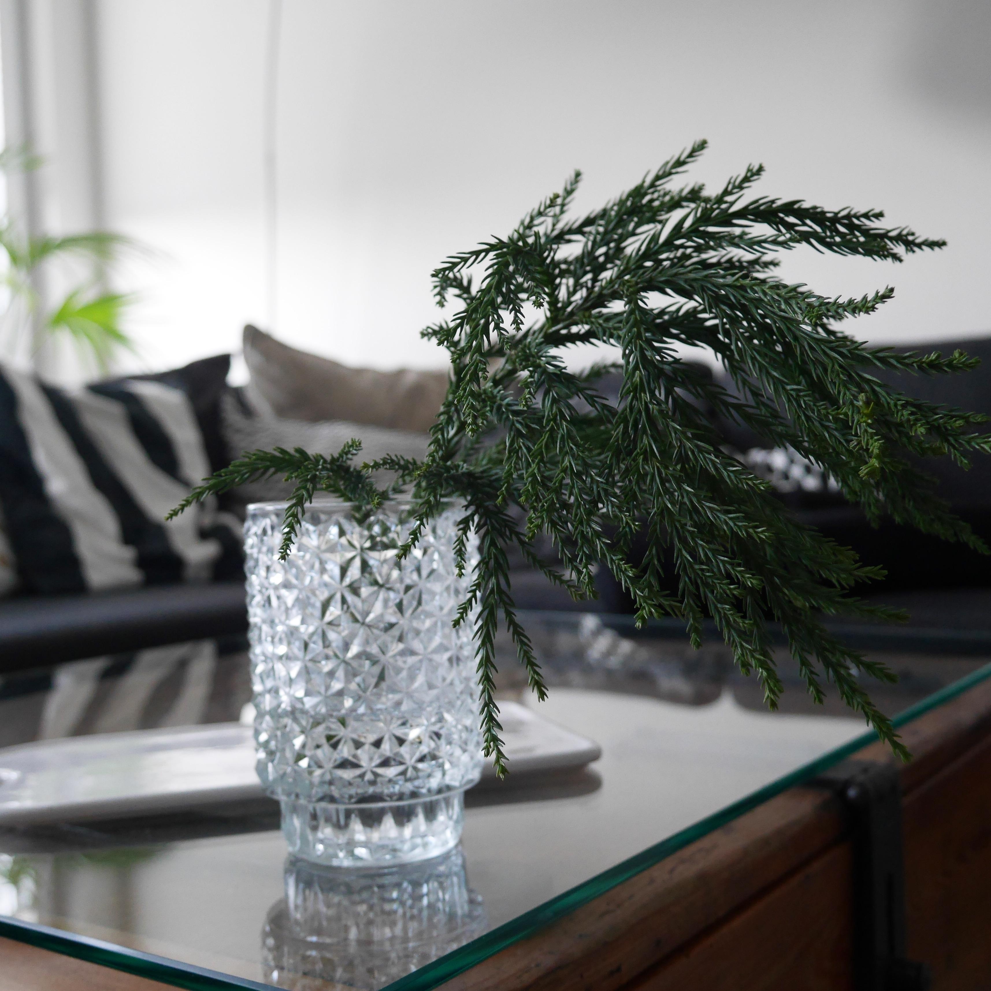 Mit der neuen Vase ist auch die erste Tanne eingezogen! #wintermood #newin #winterinspi