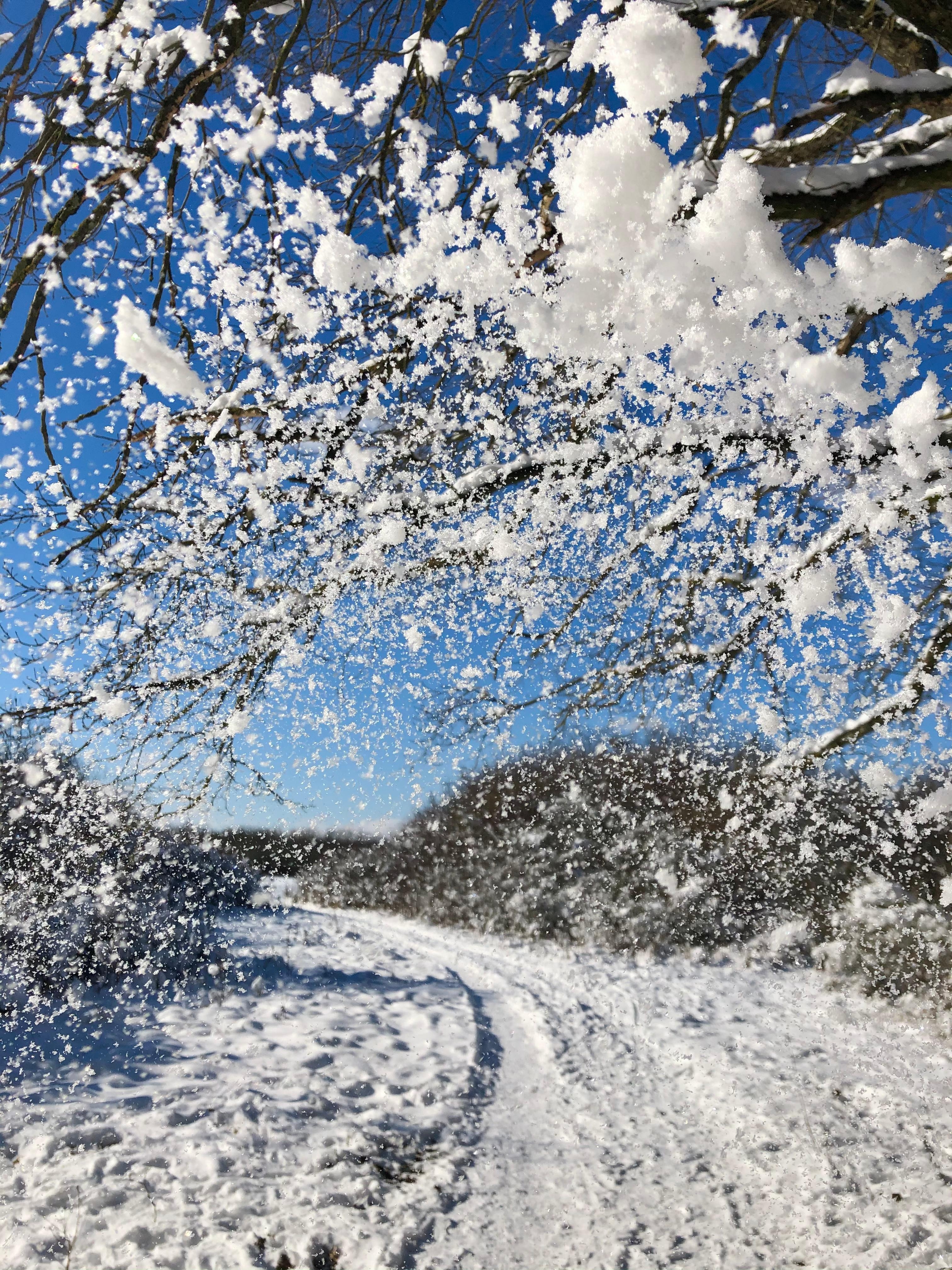 Mit diesem Bild von letzter Woche nehme ich Abschied vom #Winter #schnee #winterwonderland