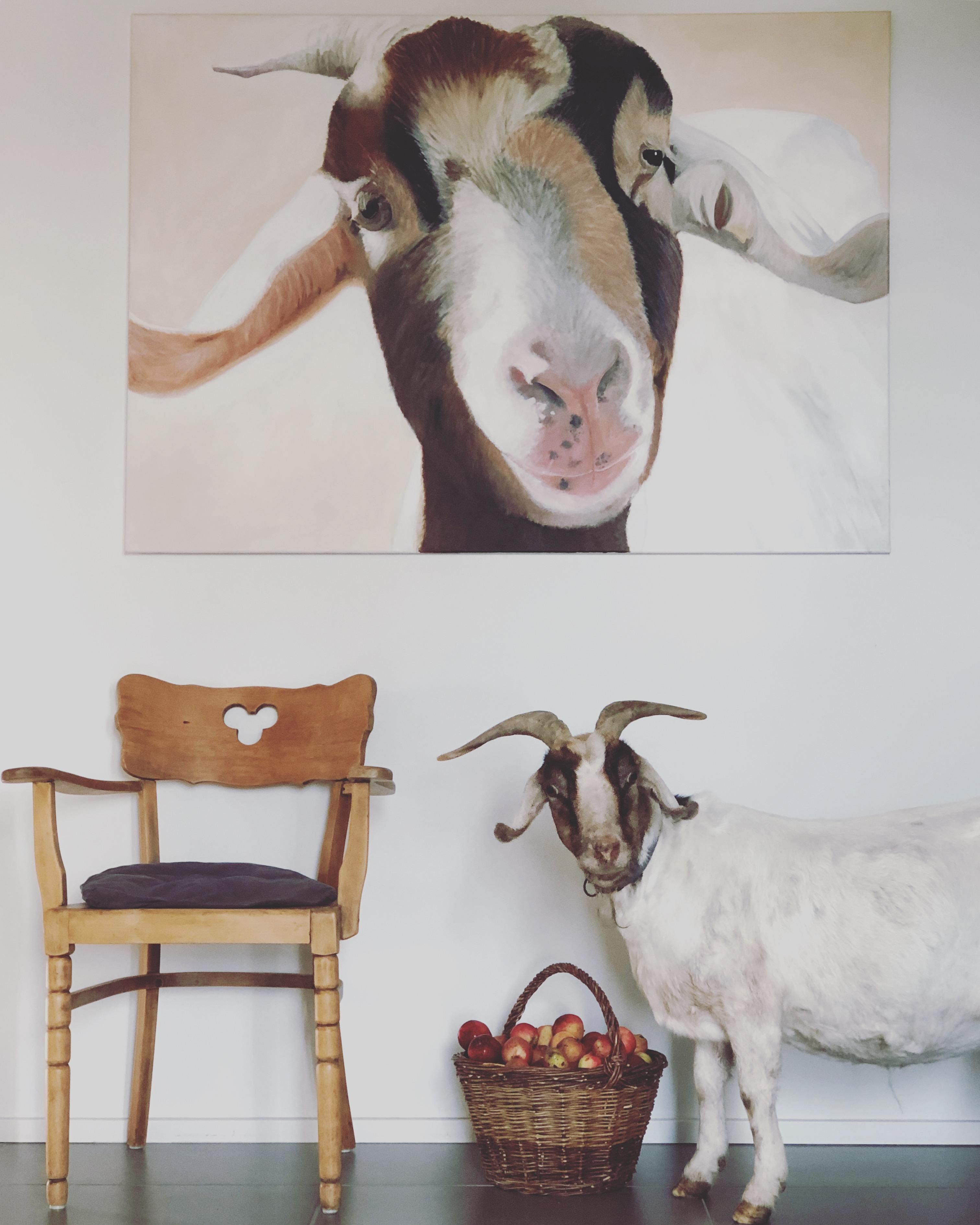 Mit Lisbeth fing alles an vor über 10 Jahren...große Ziegenliebe ❤️
#lisbeth #inthehouse #acrylaufleinwand #minimalismus