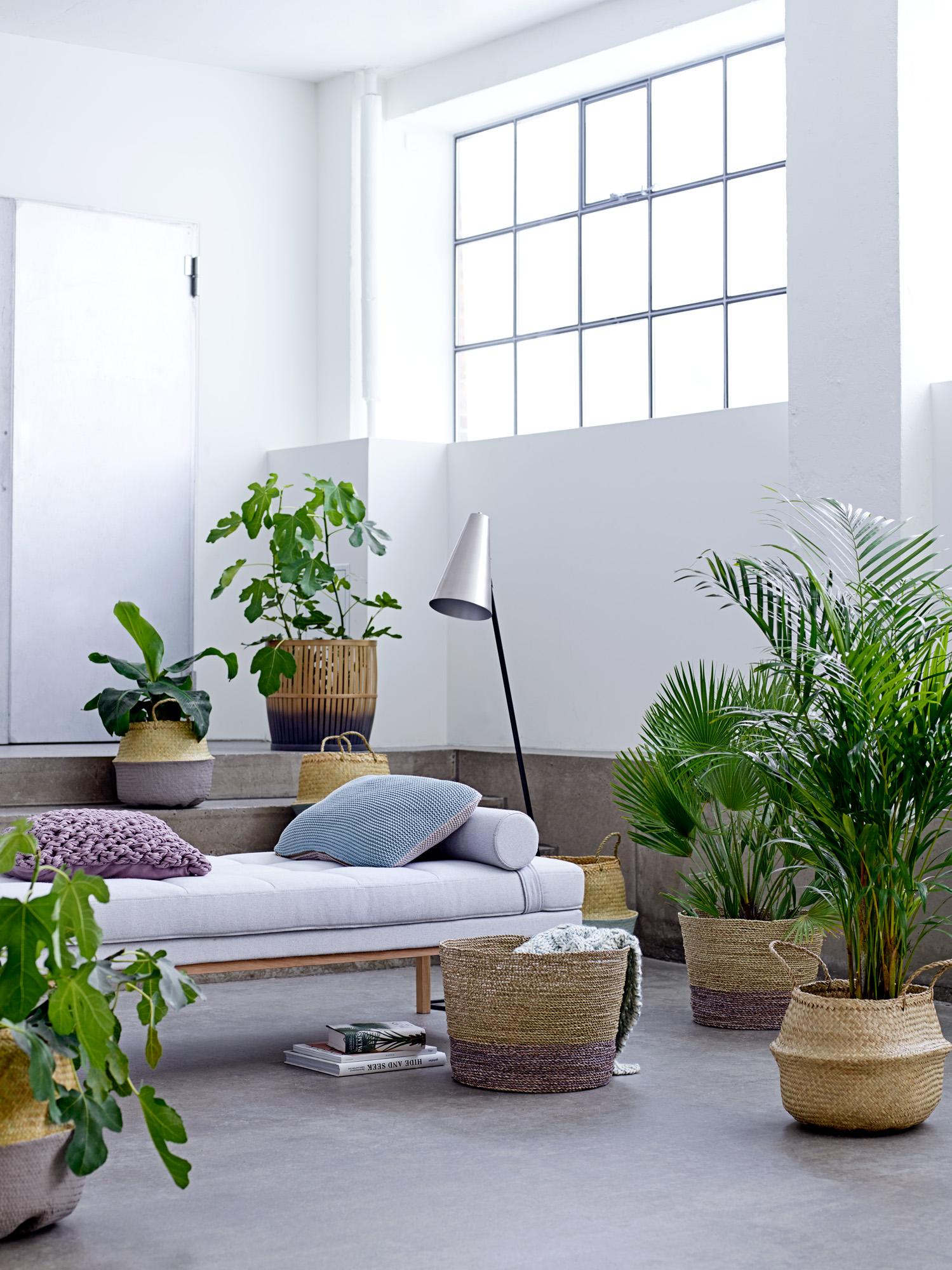 Mit Pflanzen natürliche Atmosphäre schaffen #daybed #blumentopf #zimmerpflanze #zimmergestaltung ©Bloomingville