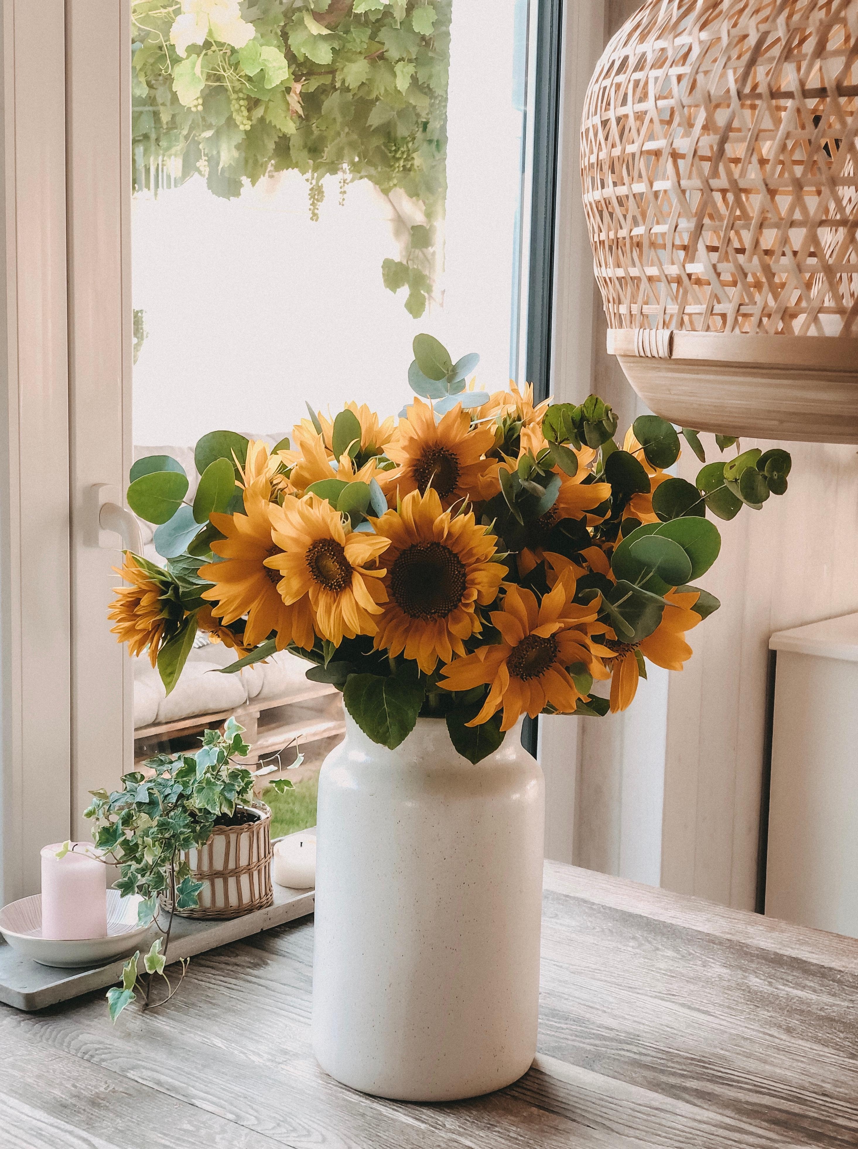 Mit viel Sonne und Sonnenblumen ins Wochenende 🌻🌻🌻
#happyweekend
#myfreshflowerfriday
#sonnenblumenliebe