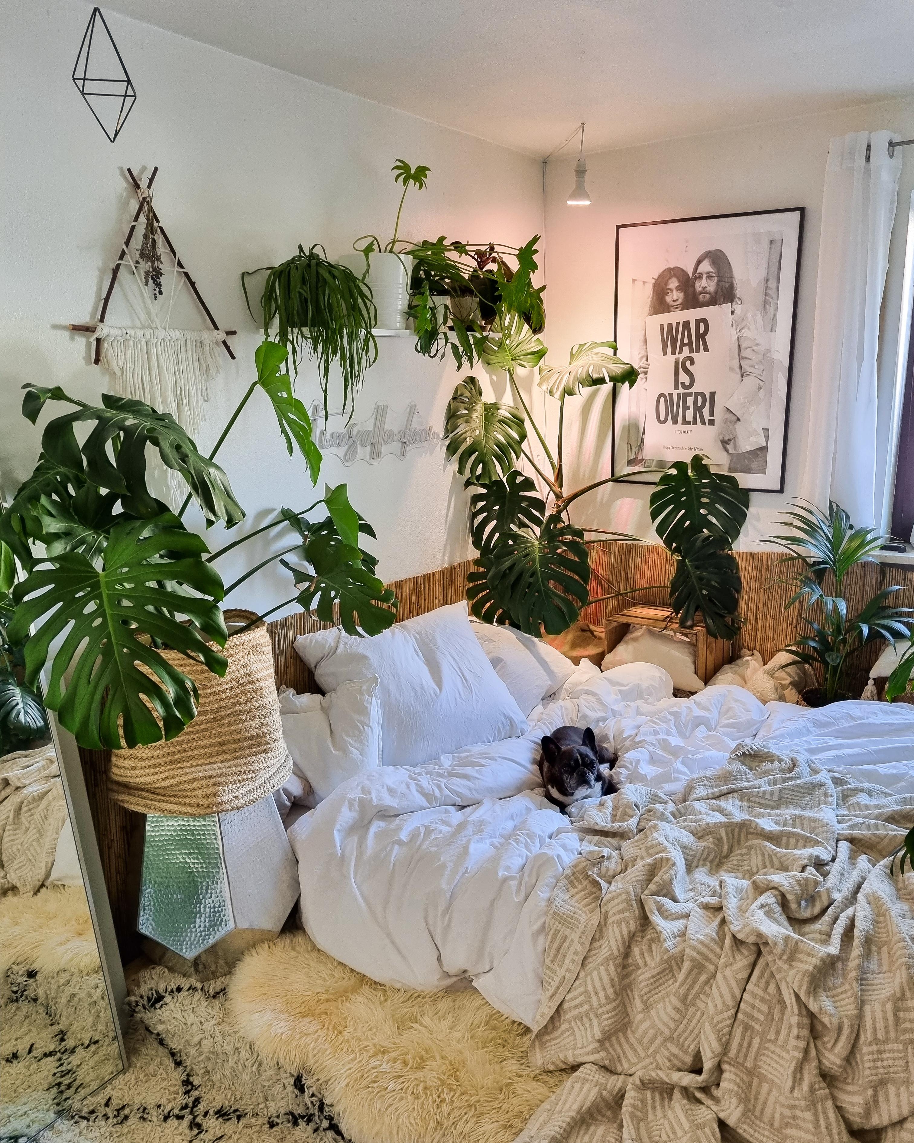 Mittwoch ❤ #Schlafzimmer #urbanjungle #Pflanzen #couchstyle #Bett #Decke #Bettdecke #Kissen #Paletten #Monstera 