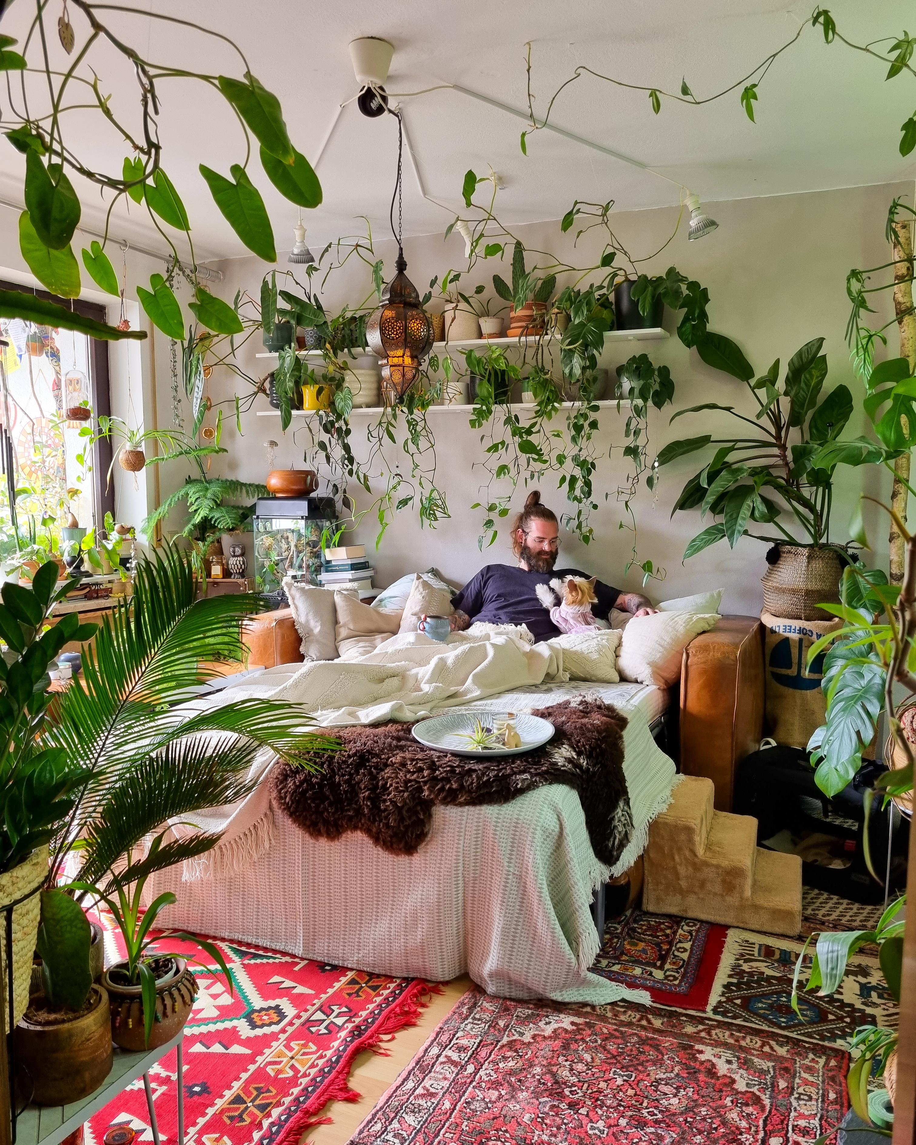 Mittwoch 💫💛 #Wohnzimmer #Couch #Pflanzen #Regal #Sofa #Teppich #Einrichtung #Decke #Kissen #boho #hippie #Lampe 