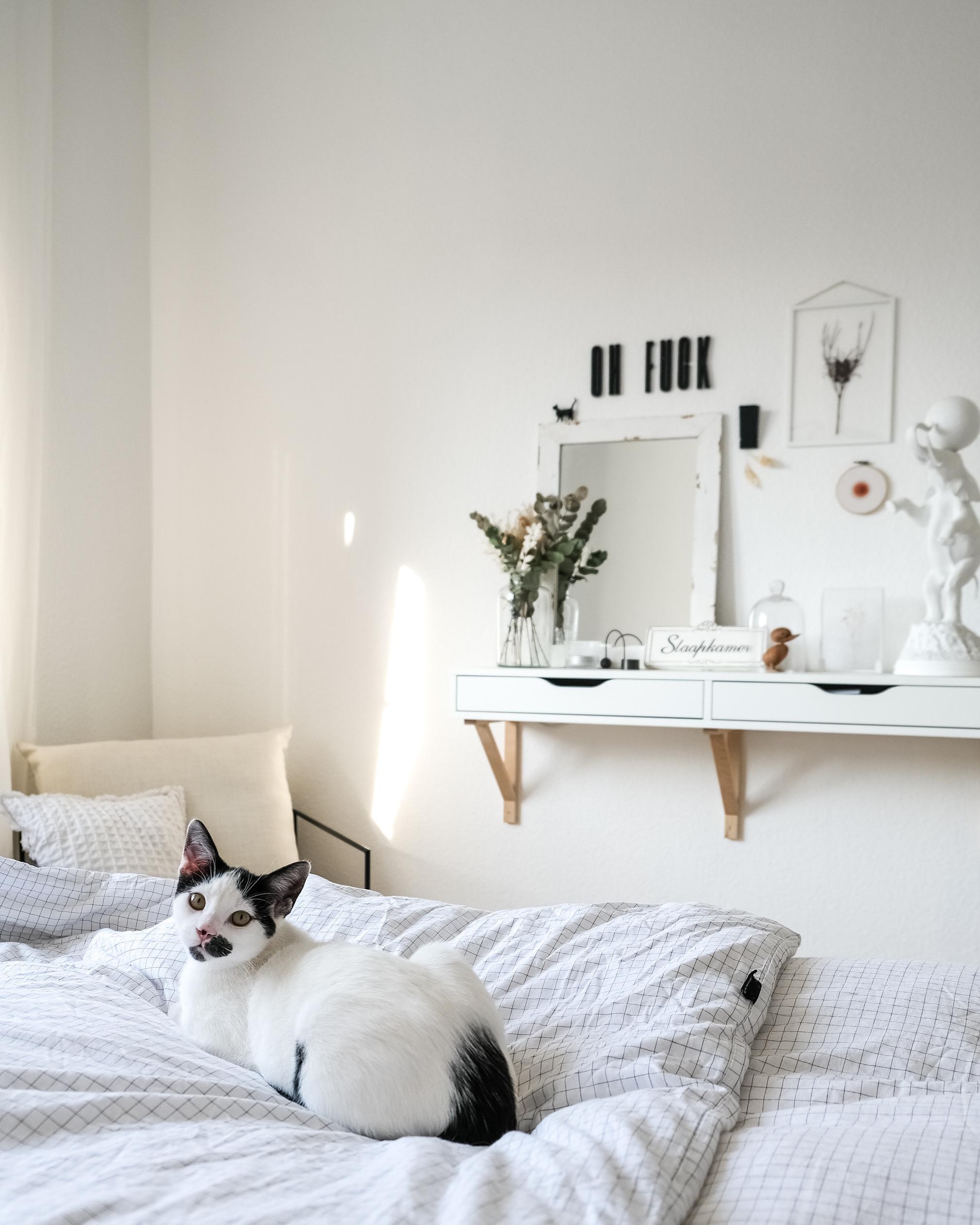 Moin Moin.

#kater #schlafzimmer #nippes #solebich #couchstyle #altbau #altbauliebe