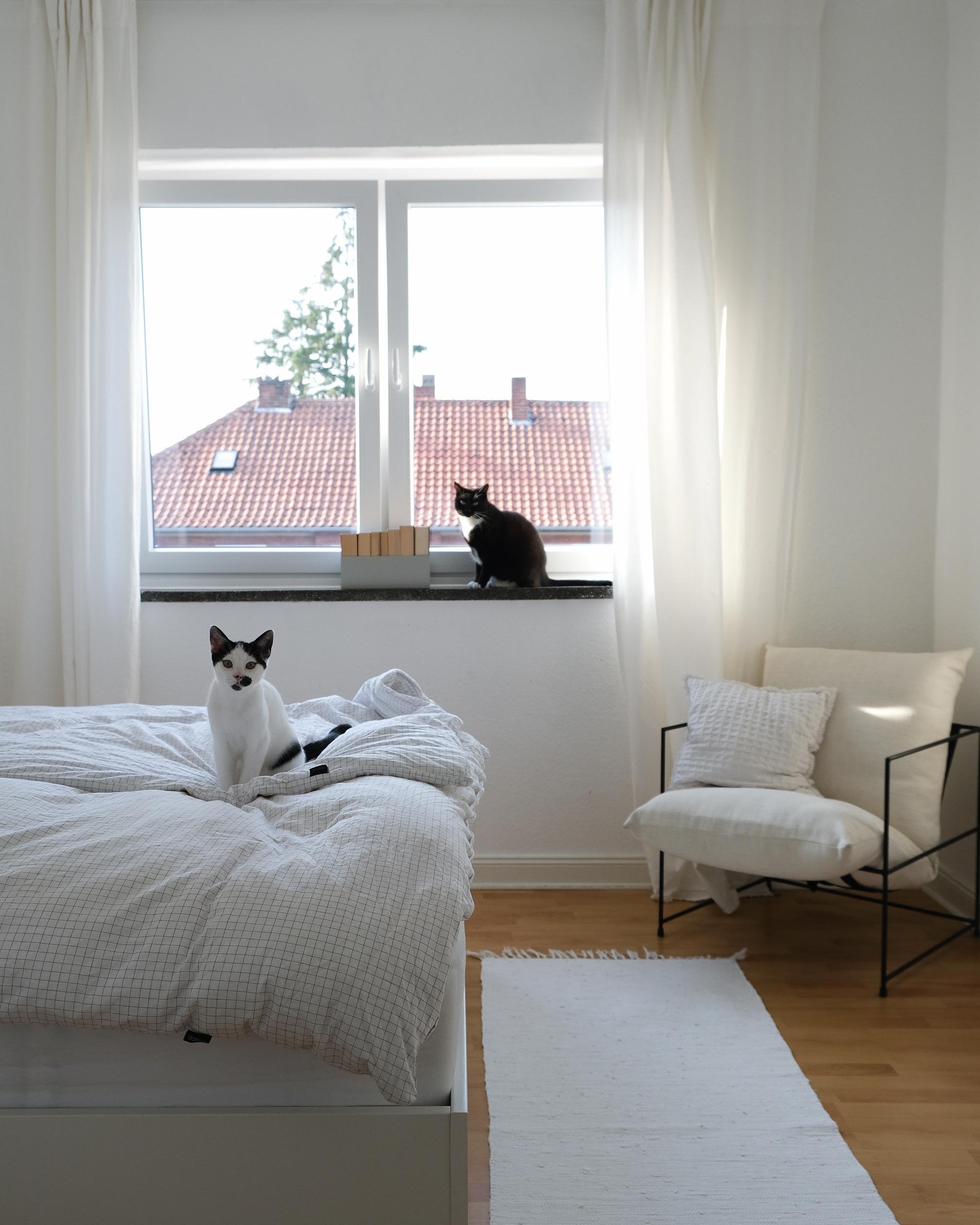 Moin Moin.
Kurt & Schnurps 

#schlafzimmer #kater #nippes #solebich #couchstyle #altbau #altbauliebe