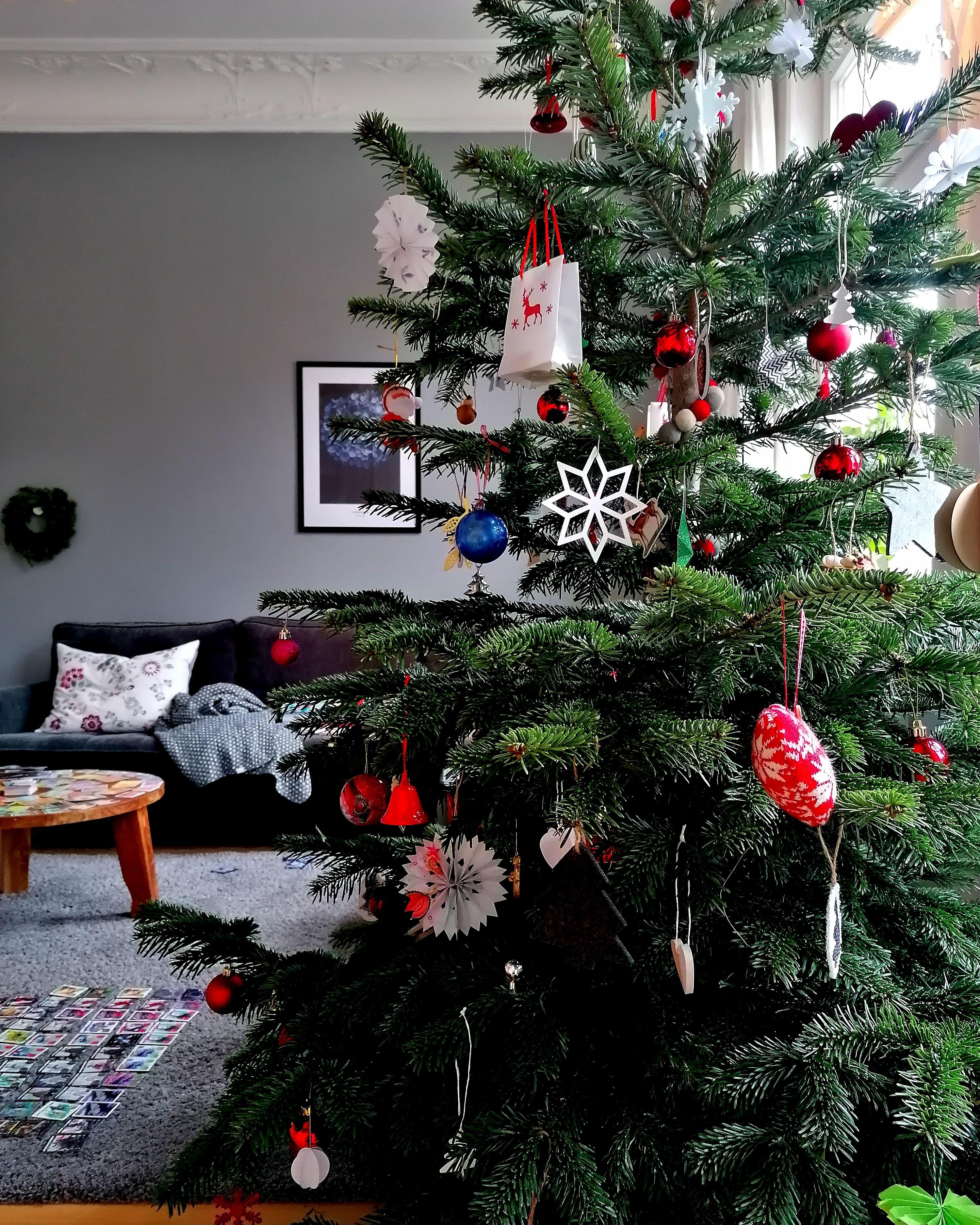 Monday before christmas!
#weihnachtsdeko #weihnachtsbaum #weihnachten #wohnzimmer #altbau #altbauliebe 