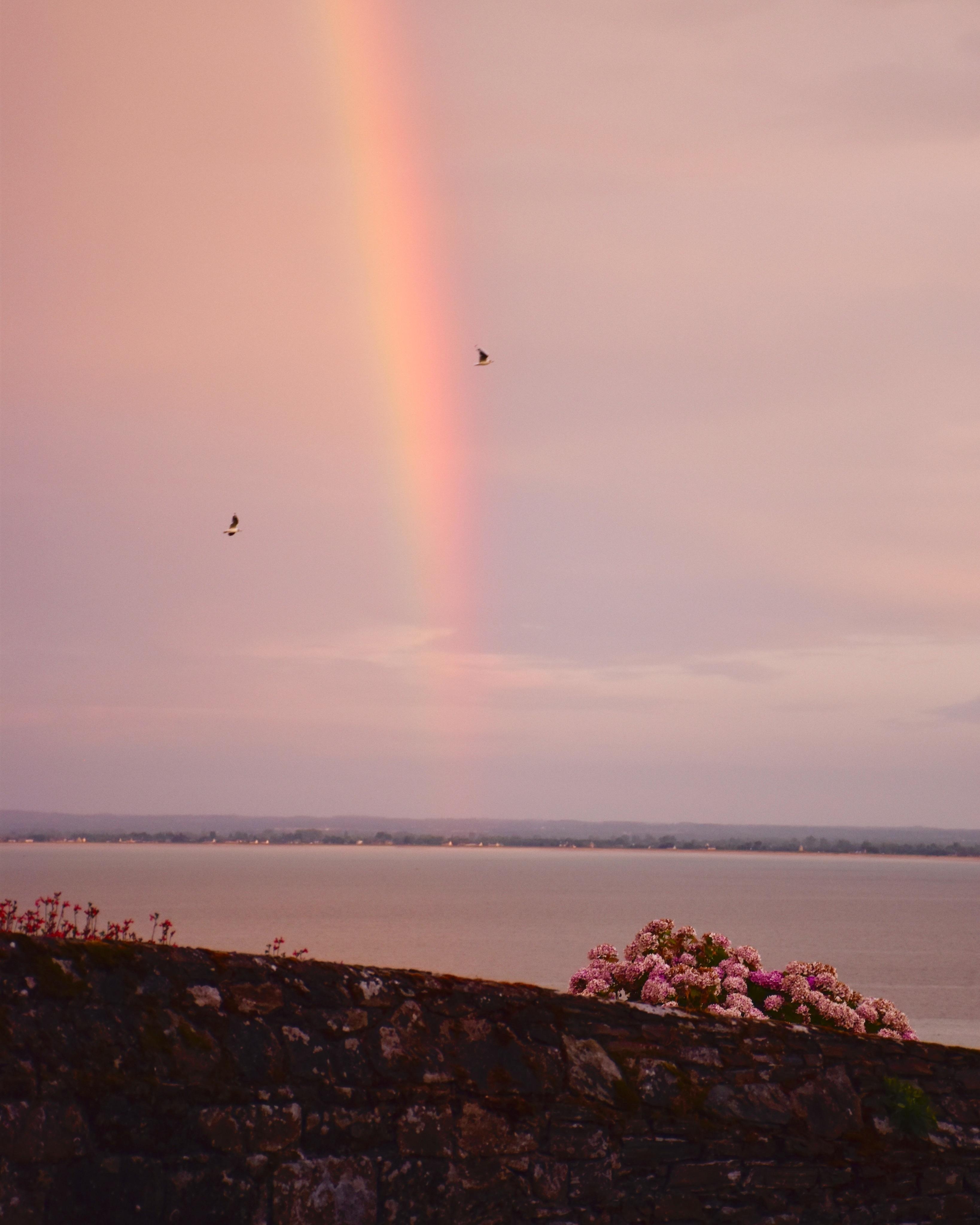 #mondfinsternis haben wir nicht gesehen, dafür #regenbogen mit schönener Aussicht 🌈🌊💗 Und ihr?