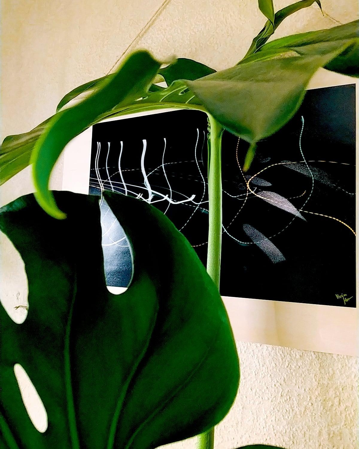 Monstera deliciosa mit Kunst im Hintergrund
#monsteradeliciosa #kunst #pflanzen #zimmerpflanzen #fotografie #couchstyle 