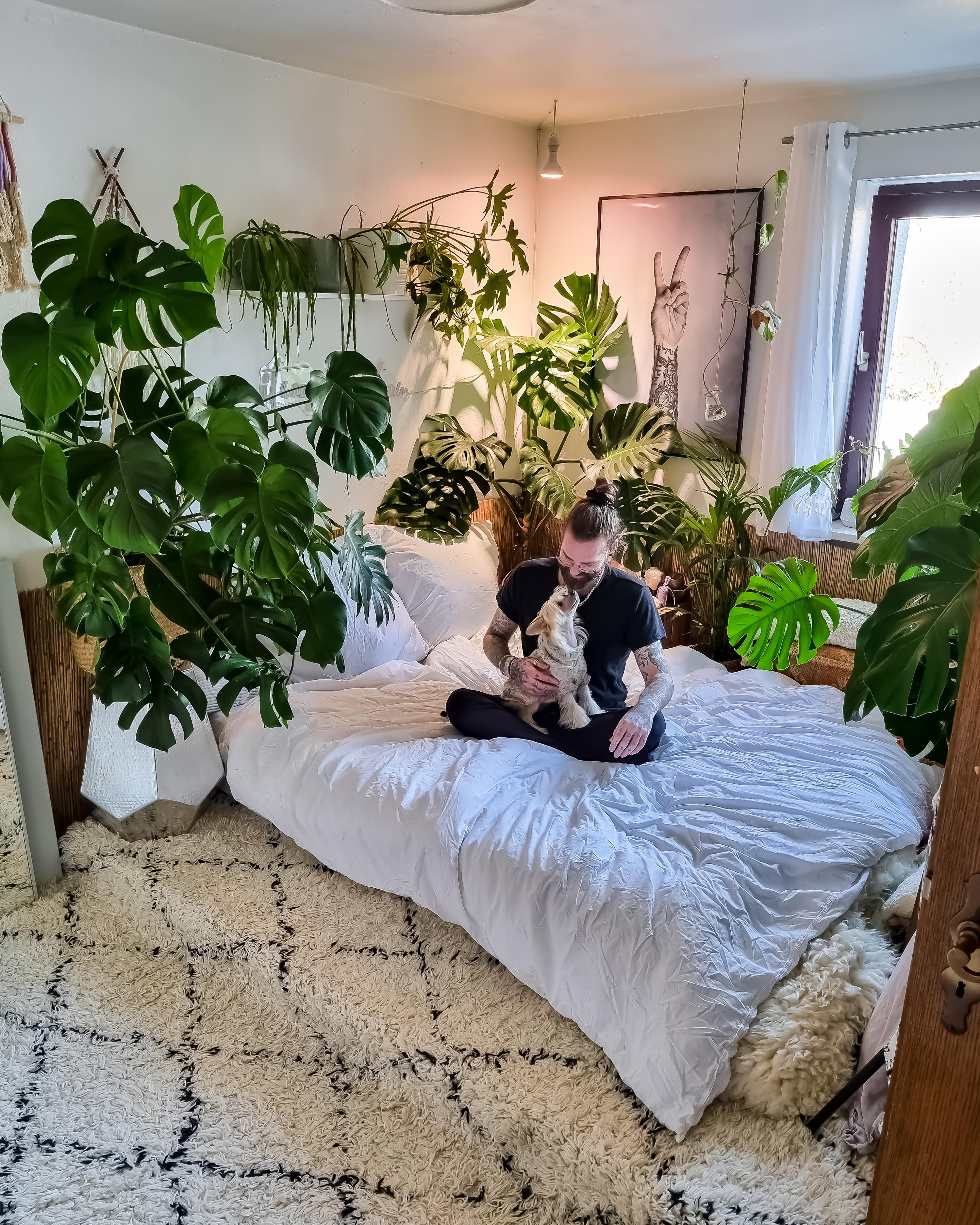 Montag 🤍🪴 #Schlafzimmer #Palettenbett #Paletten #monstera #Pflanzen #Decke #Kissen #Teppich #boho #hippie #hygge 