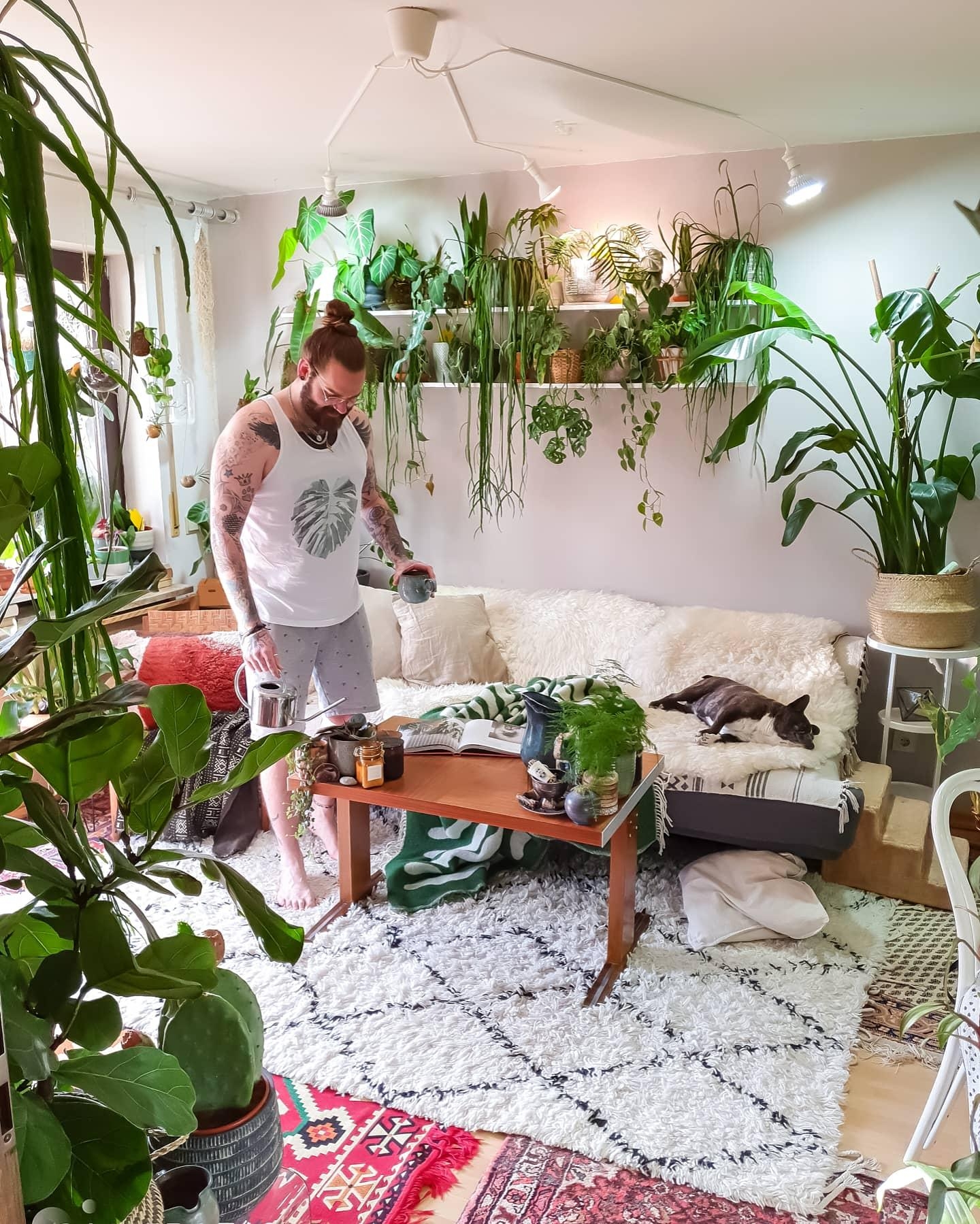 Montags MOOD #wohnzimmer #Pflanzen #hippie #couchstyle #couch