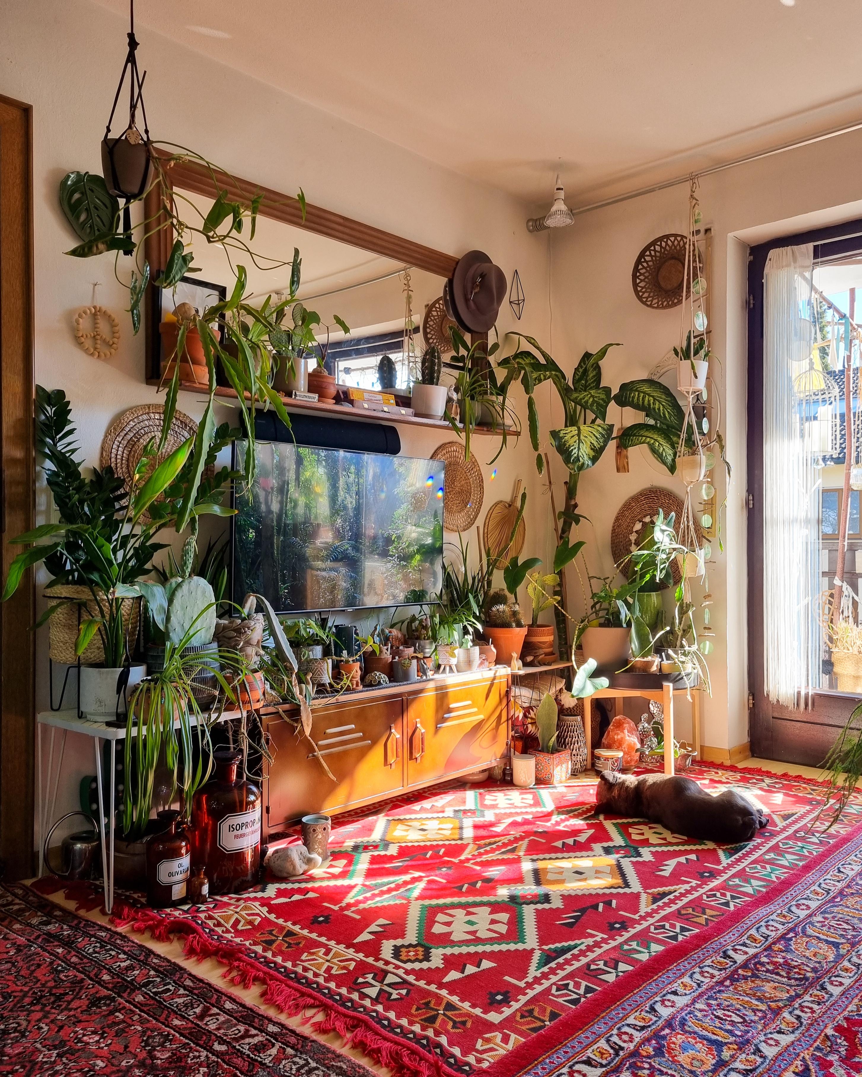 Montags MOOD #Wohnzimmer #Pflanzen #urbanjungle #teppich #couchstyle #boho #hippie #Kommode #sideboard