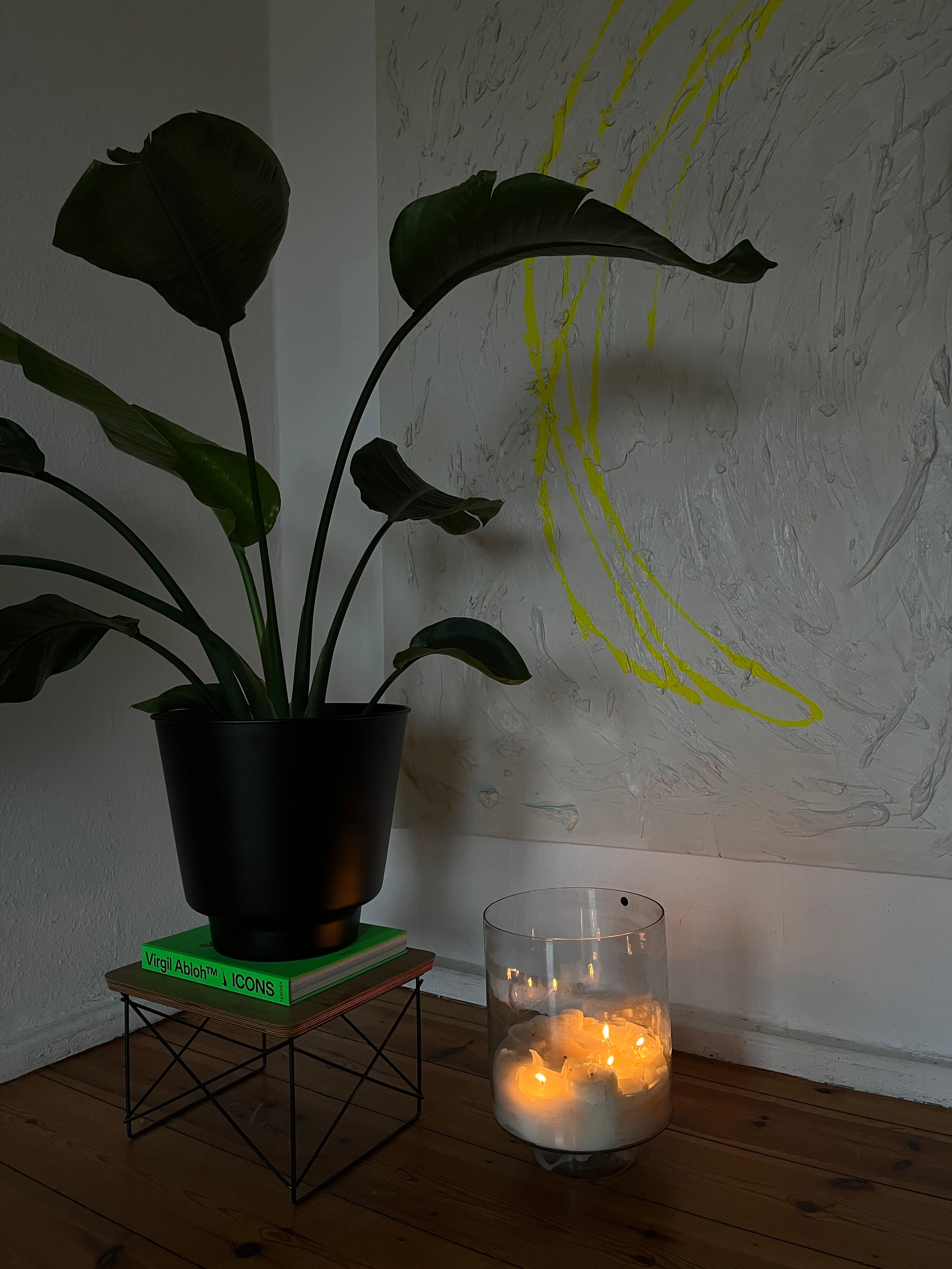 #moody #details #livingroom #art #berlin #plant