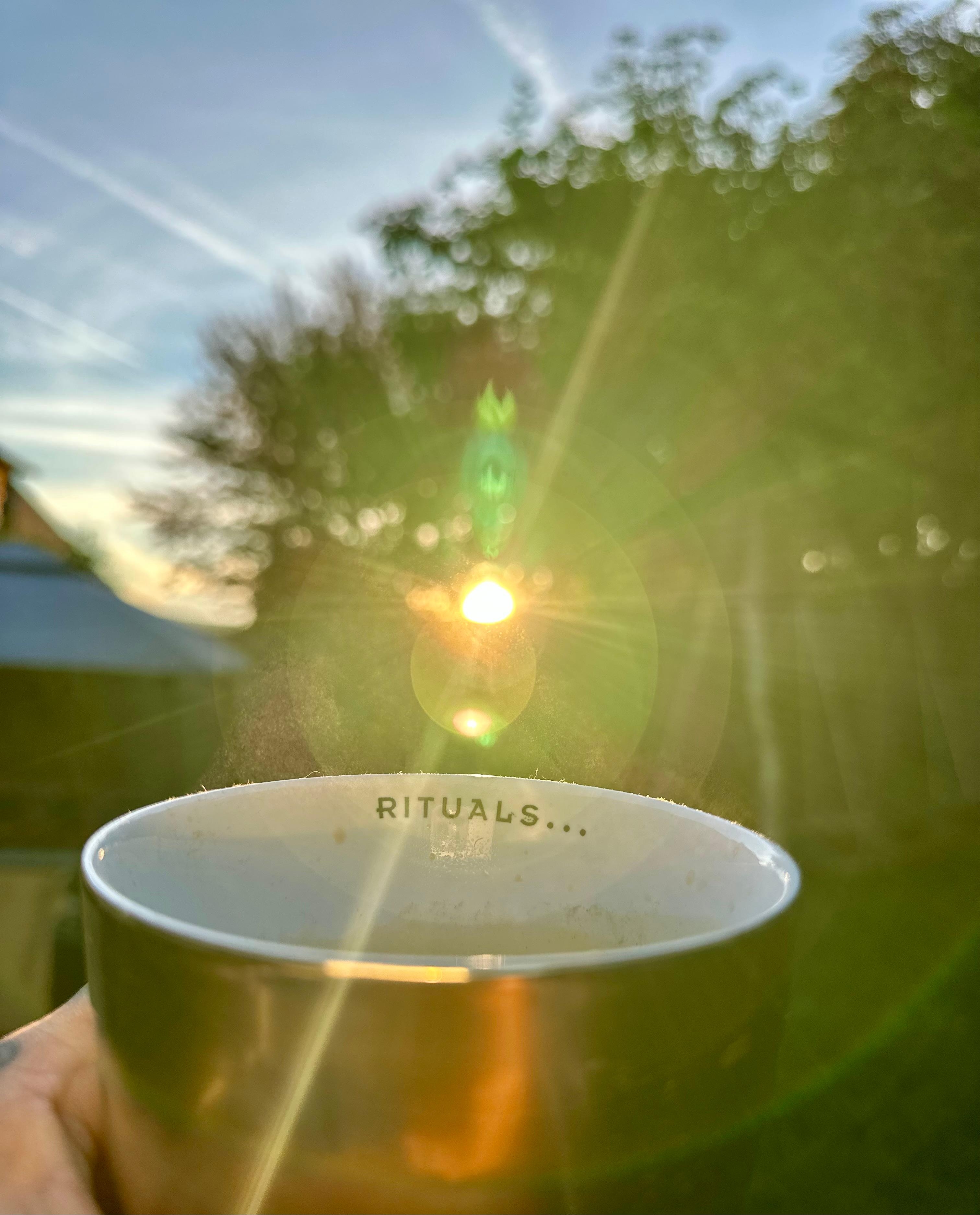 🍂☀️Morgen Ritual 🍁☕️ 

#sonntag #hintermhaus #wald #natur #rituals #sonne #ohnekaffeeohnemich #sonnenstrahlengeniessen #pausetaste 