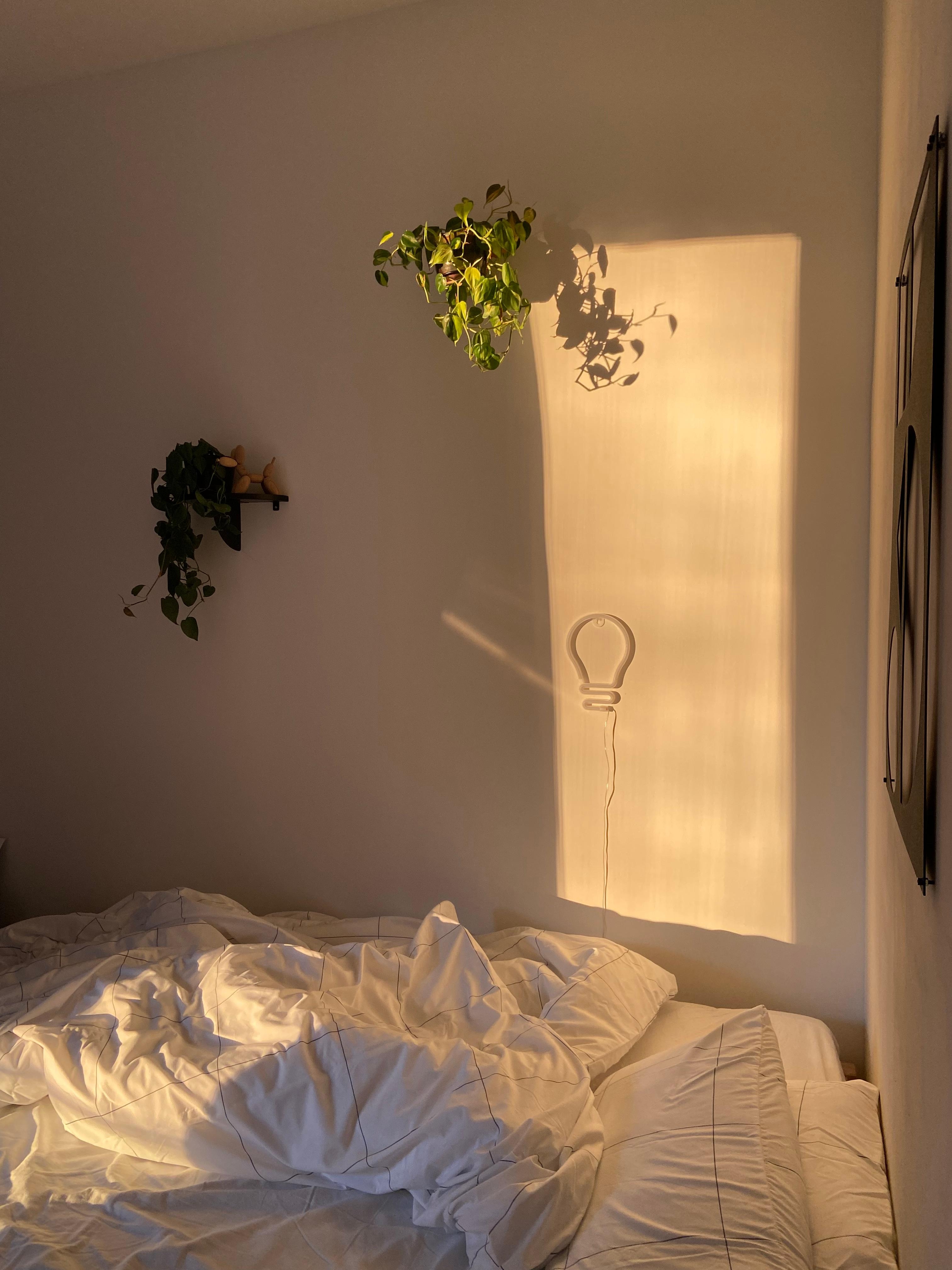 #Morgenlicht ✨ 
#schlafzimmer  #schlafenszeit