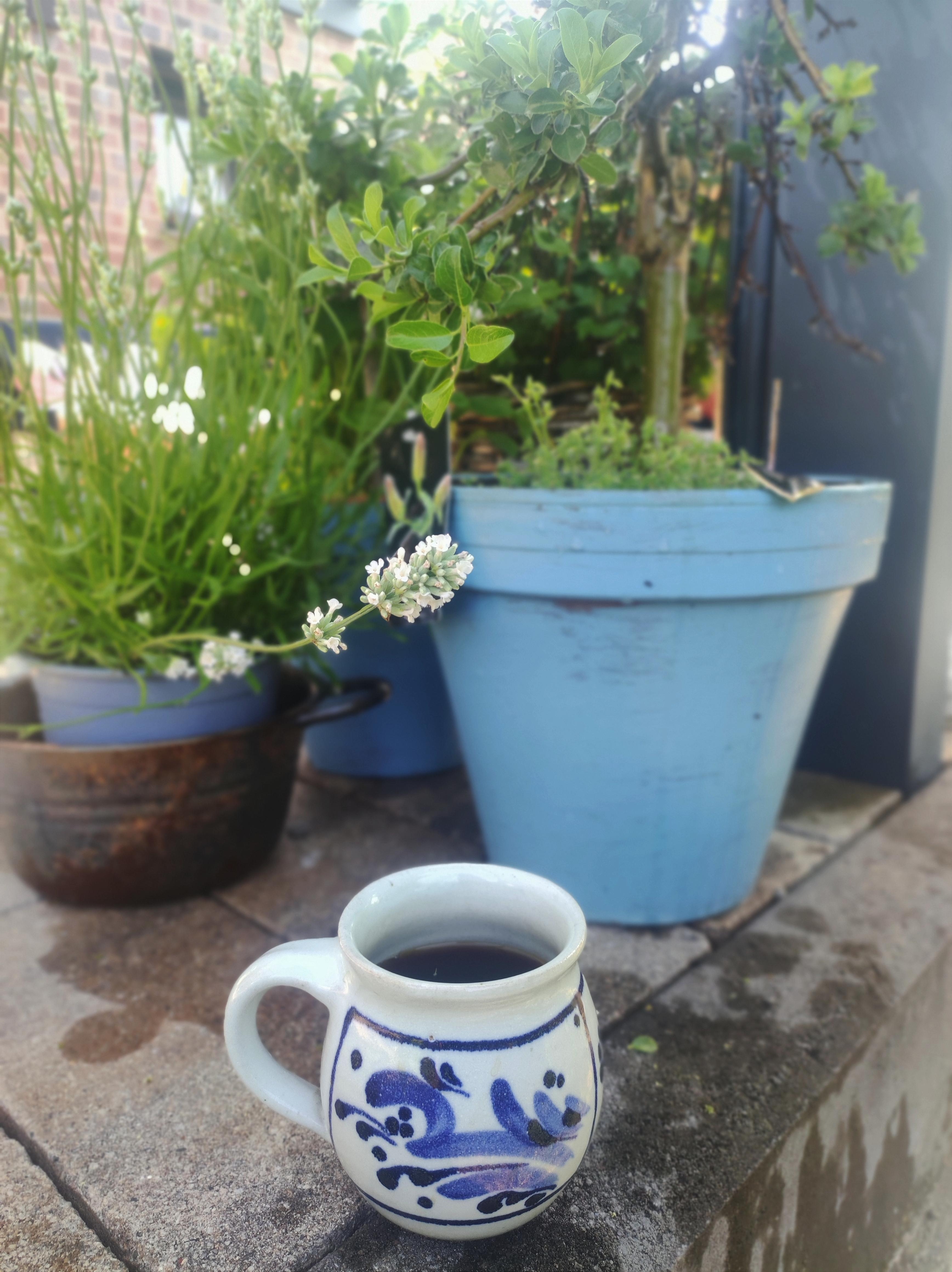 Morgens 🔆🌱 #lieblingsdrink #kaffeeliebe ☕ im Garten #livingchallenge