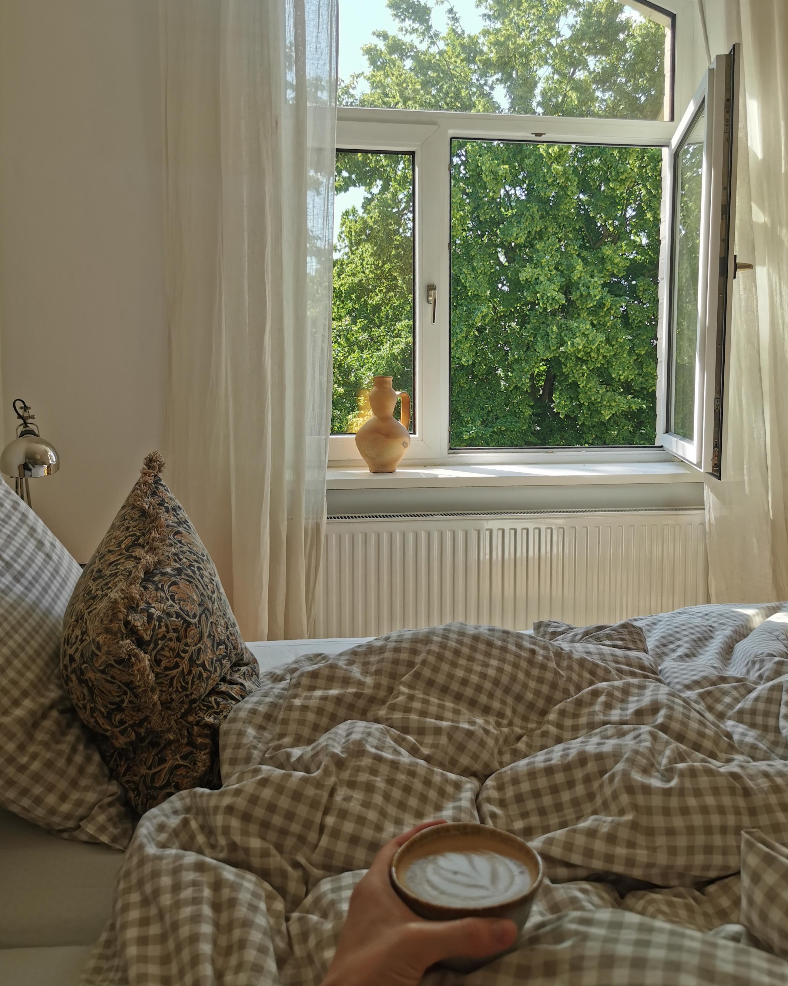 Morgens mit diesem Blick aufwachen 🌞🌿☕