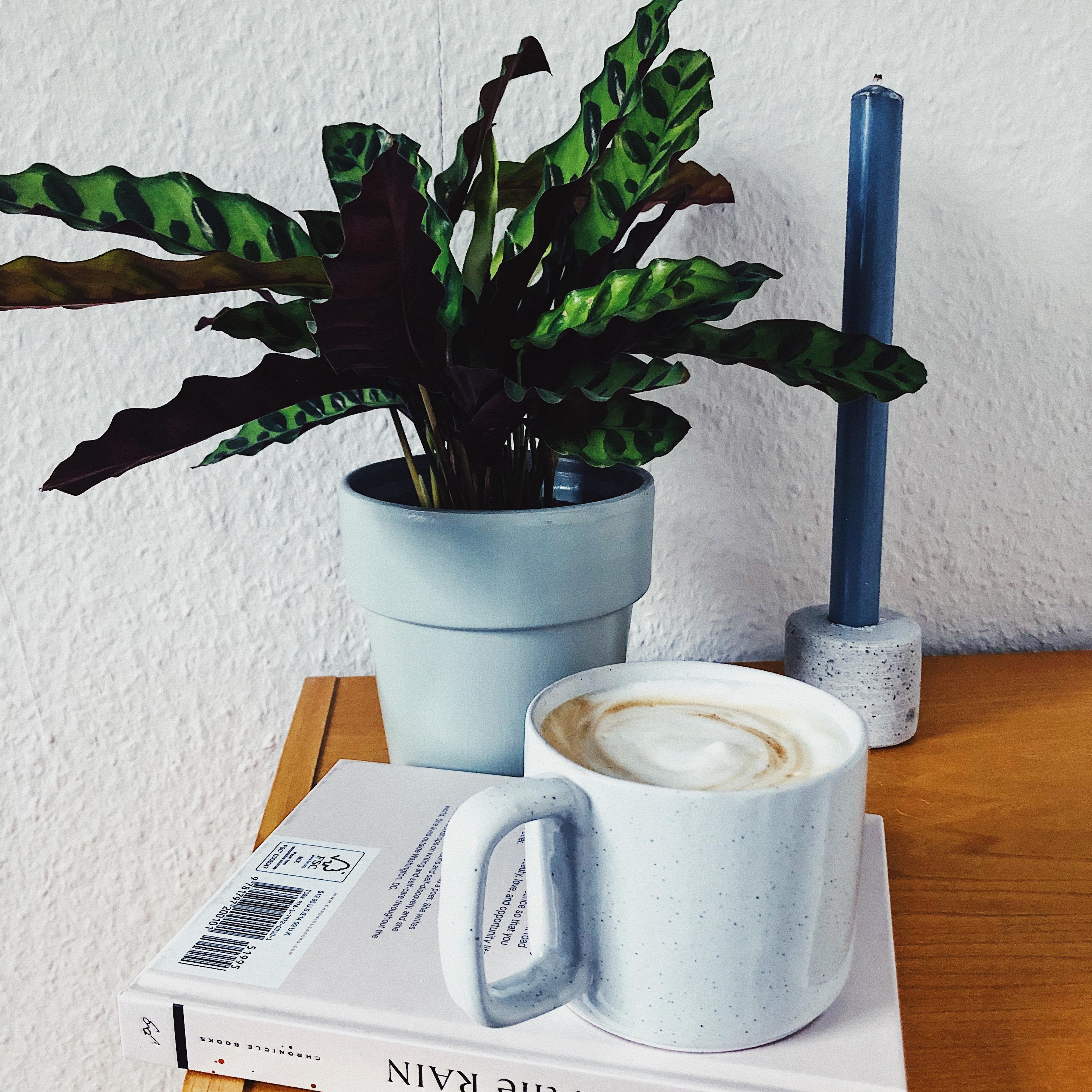 Morgens mit Kaffee im Bett ist doch der beste Zustand!
#Kaffee #Kaffeeliebe #Morningvibes #Pflanzen #Kerze