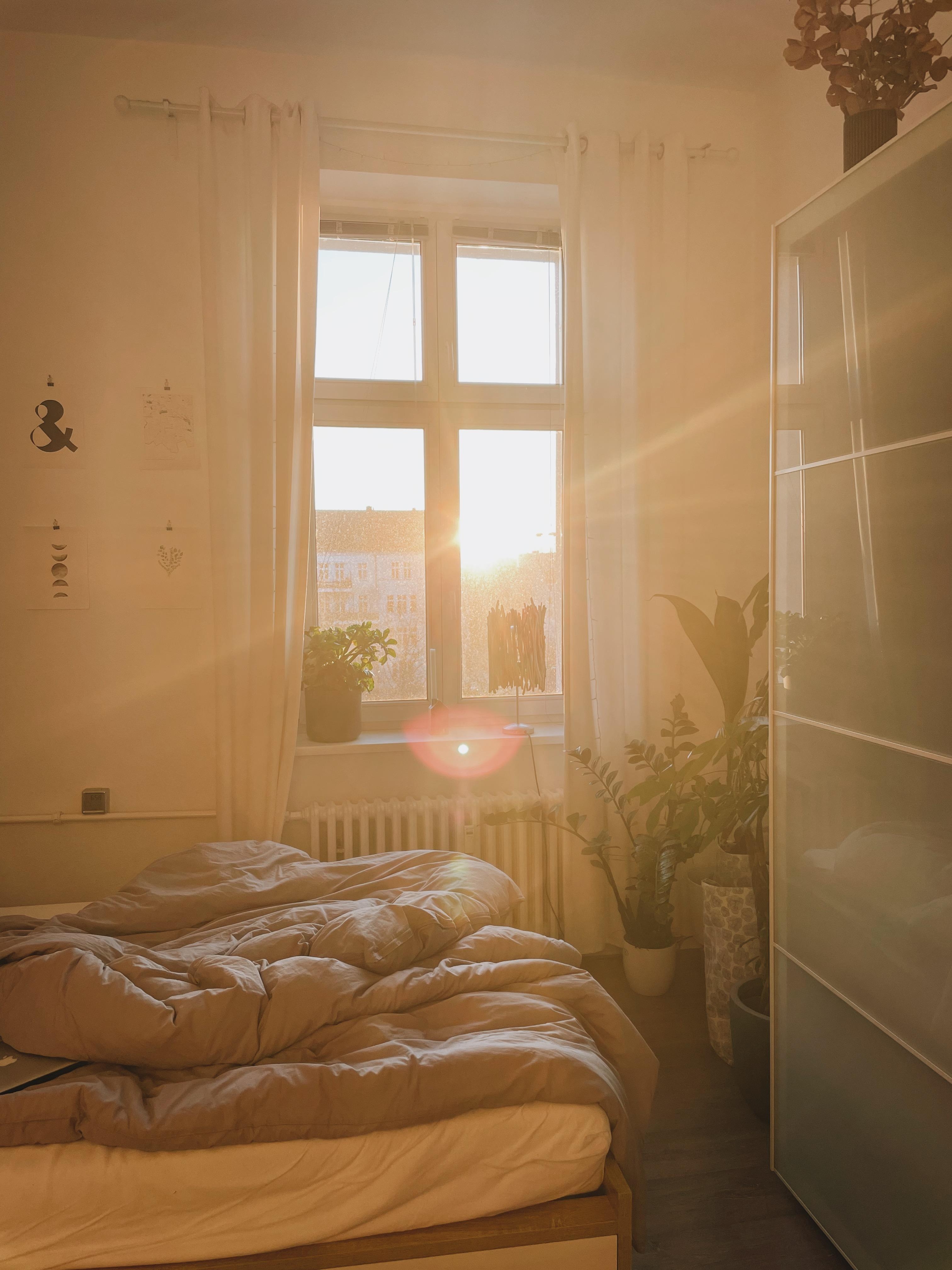 Mornings like this 🥰 #sonnenaufgang #sonne #licht #schlafzimmer