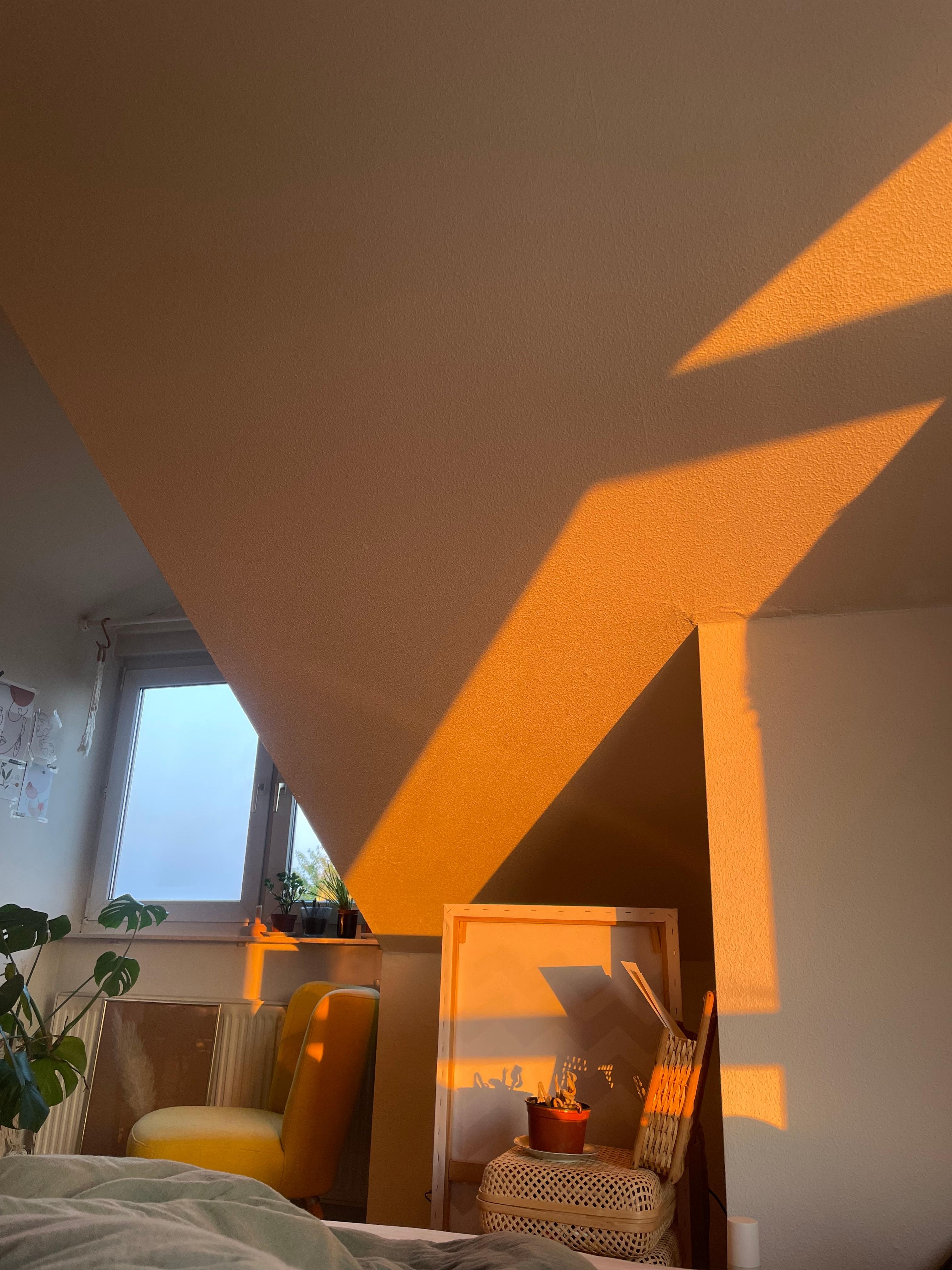 #morningview #lichtspiel #sommerfeeling #natürlichgewecktwerdenvomlicht #dachgeschoss #apartmentlove