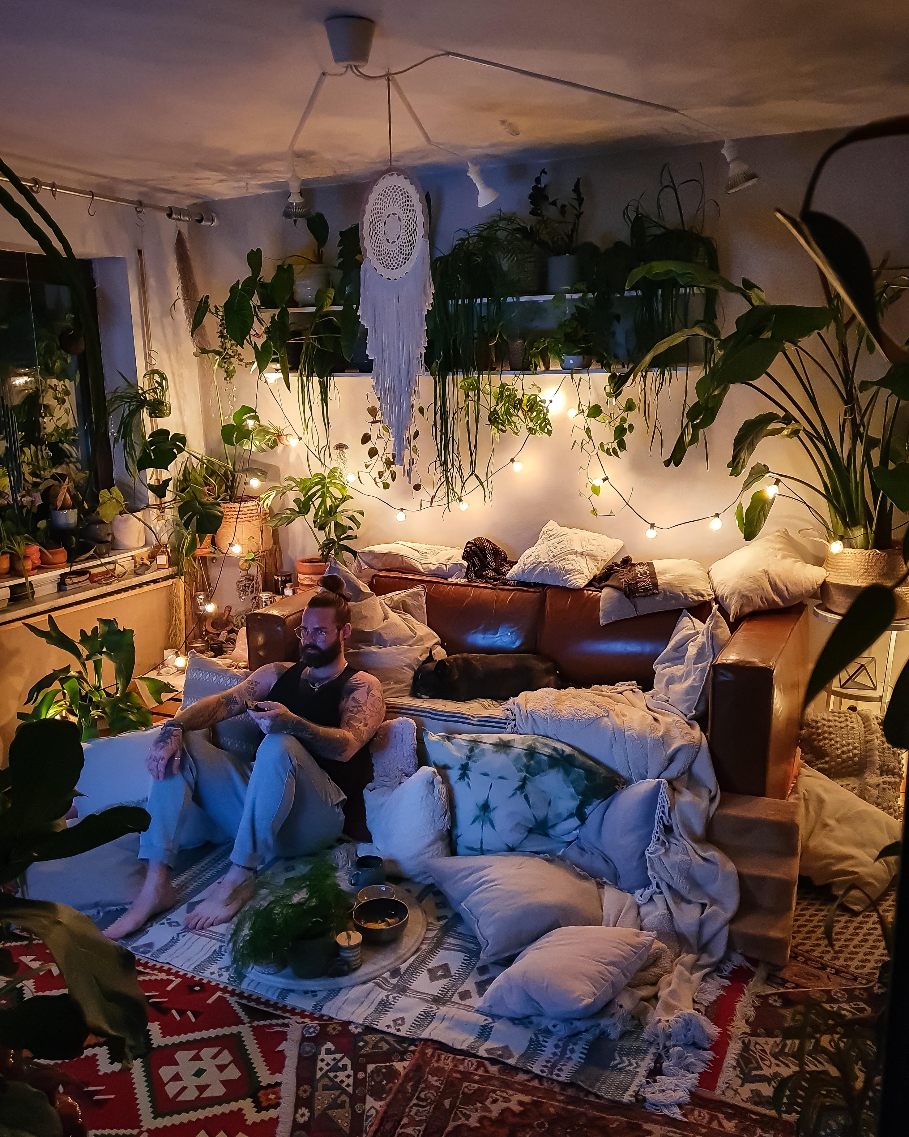 Movie night urban jungle style 🌃🪴#Wohnzimmer #urbanjungle #Pflanzen 