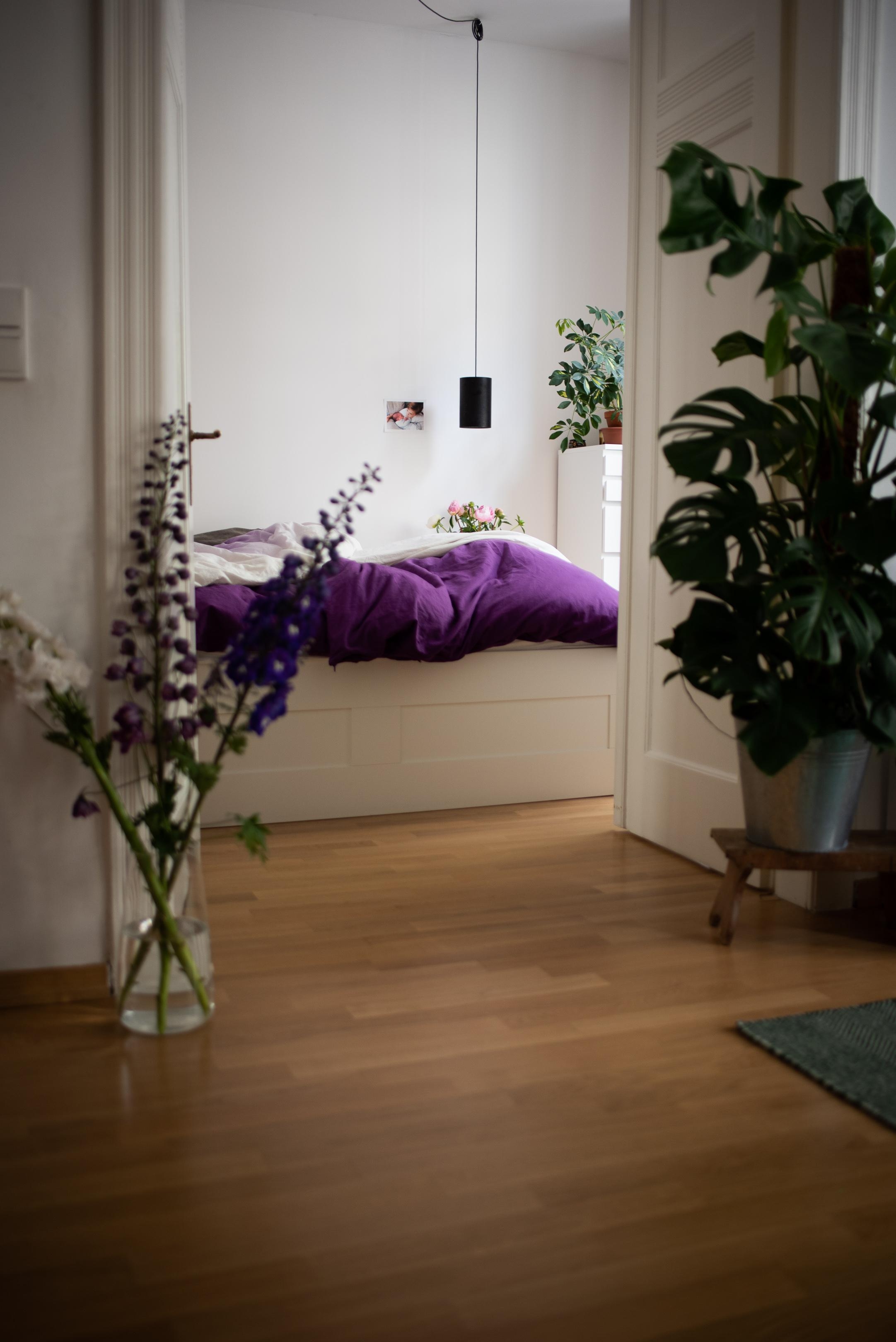 Müder Mittwoch 💜 #bedroom #schlafzimmer #bettwäsche # Pflanzen #urbanjungle #interiordesign