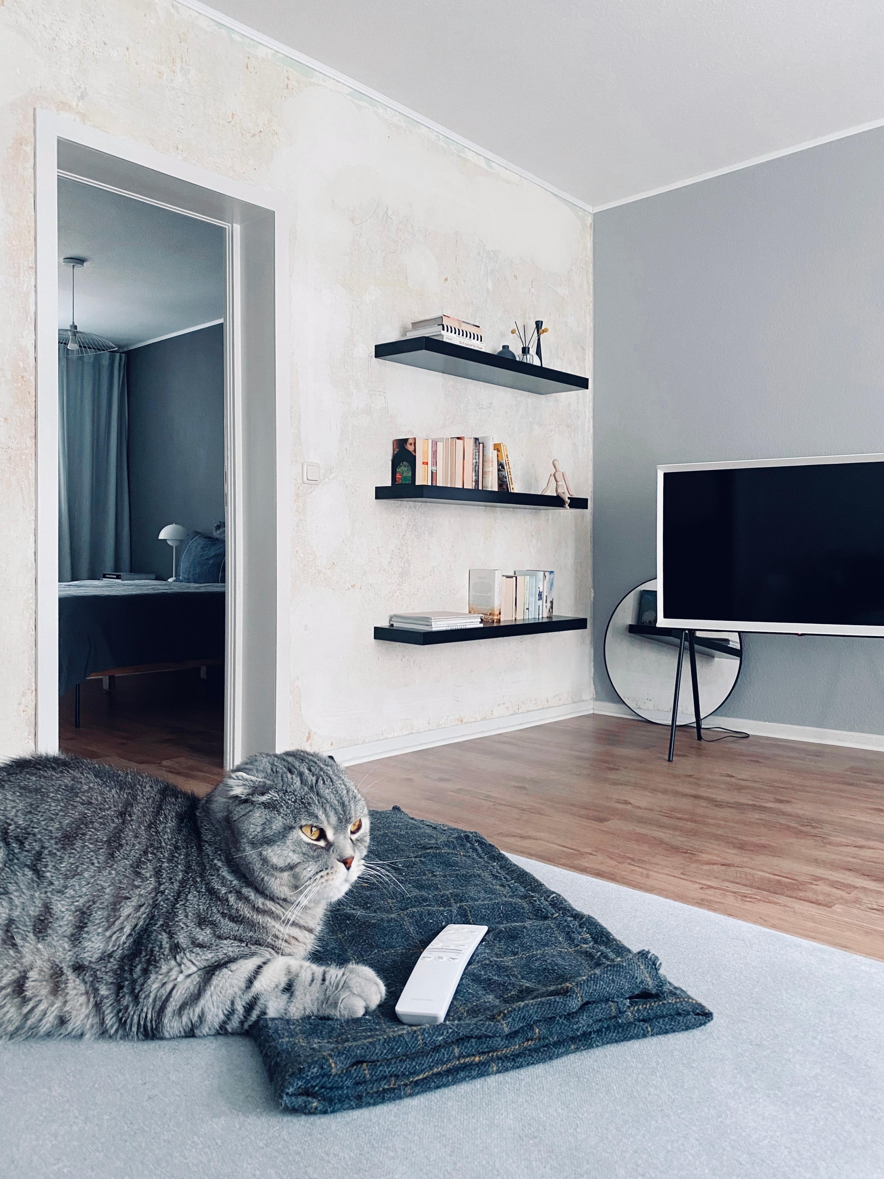 #murzikthegrumpyone beherrscht die Kunst des Ignorierens zu 100% 😅
#nordichome #minimalismus #catlover #livingroom