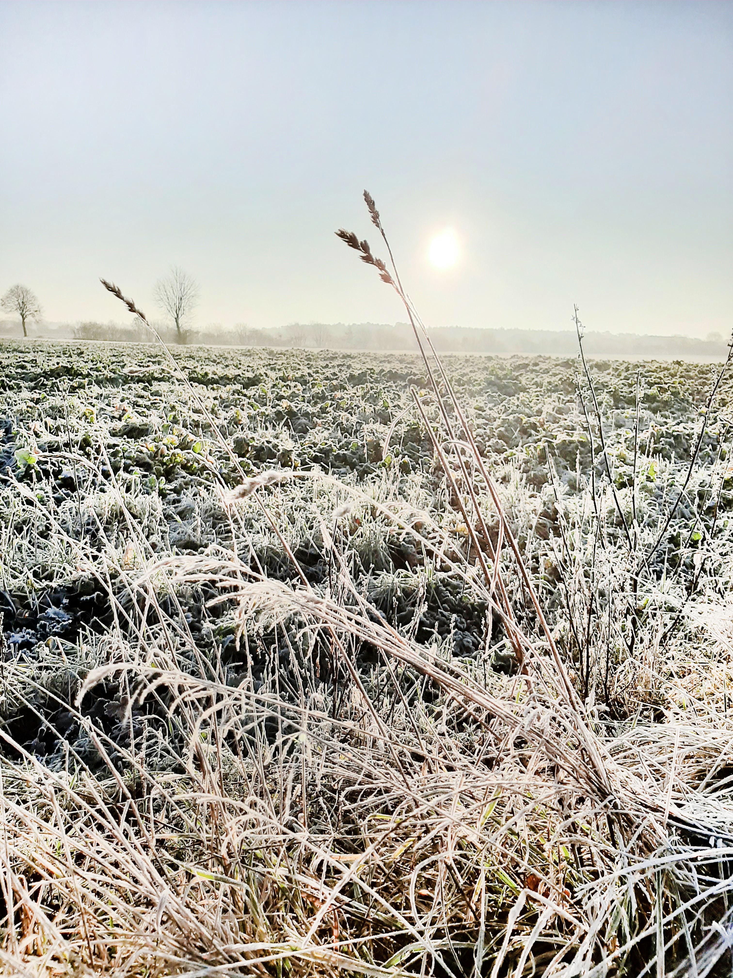 N a t u r ♡
#natur #landschaft #winter #frost #naturliebe