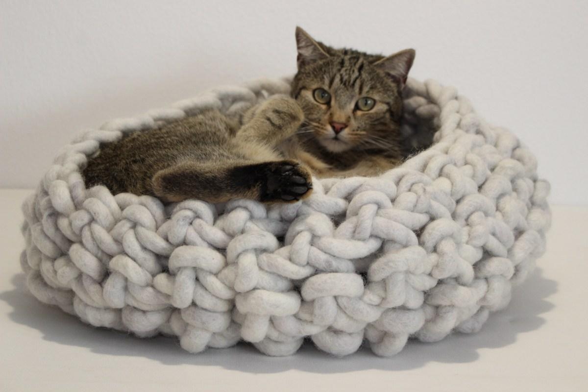 Na wie findet ihr mein Bettchen? Es ist super kuschelig und duftet fein nach Wolle. Ich mag es sehr. #hygge #katzenkorb 