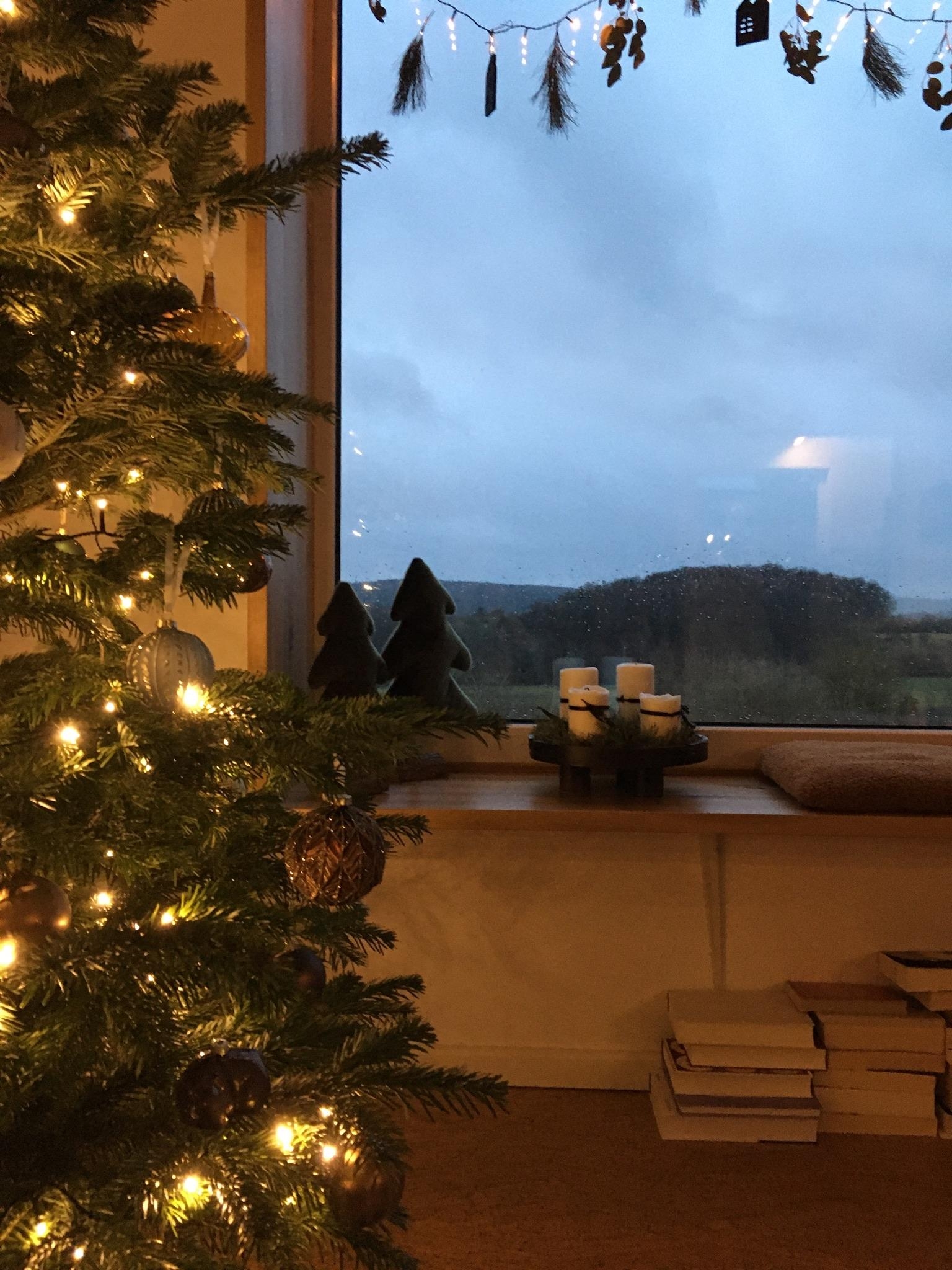 Nach den Feiertagen kann jetzt endlich die besinnliche Zeit beginnen 😅 #Weihnachtsbaum #Calmafterthestorm