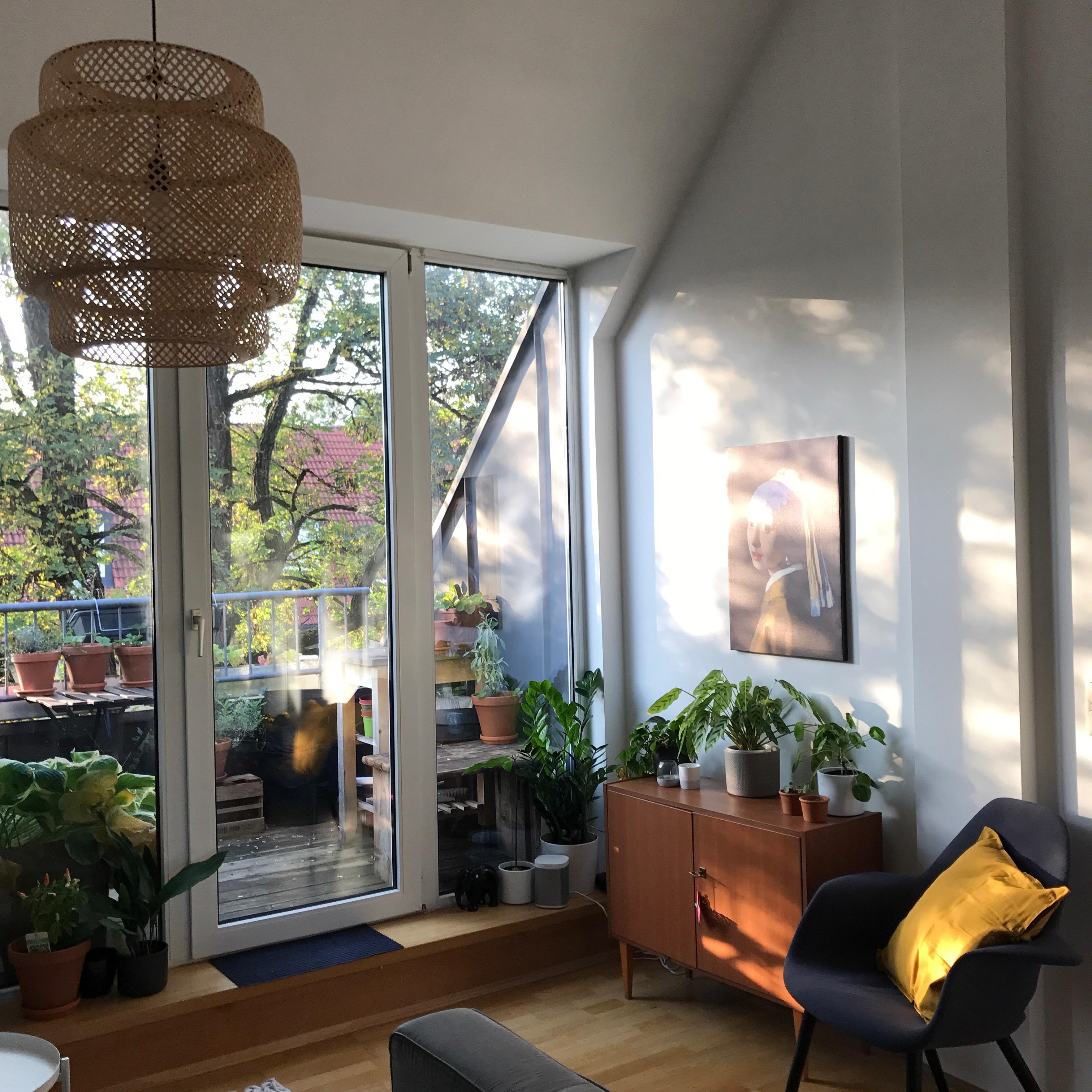 Nachmittagssonne im Wohnzimmer und Blick auf den Balkon #wohnzimmer #balkonliebe #pflanzenliebe