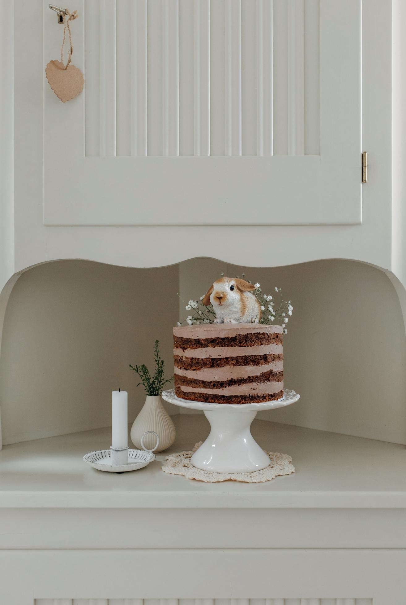 #nakedcake #torte #ostern #diyostern #osterdiy #osterdeko #couchliebt #landleben #cottage #vintage 