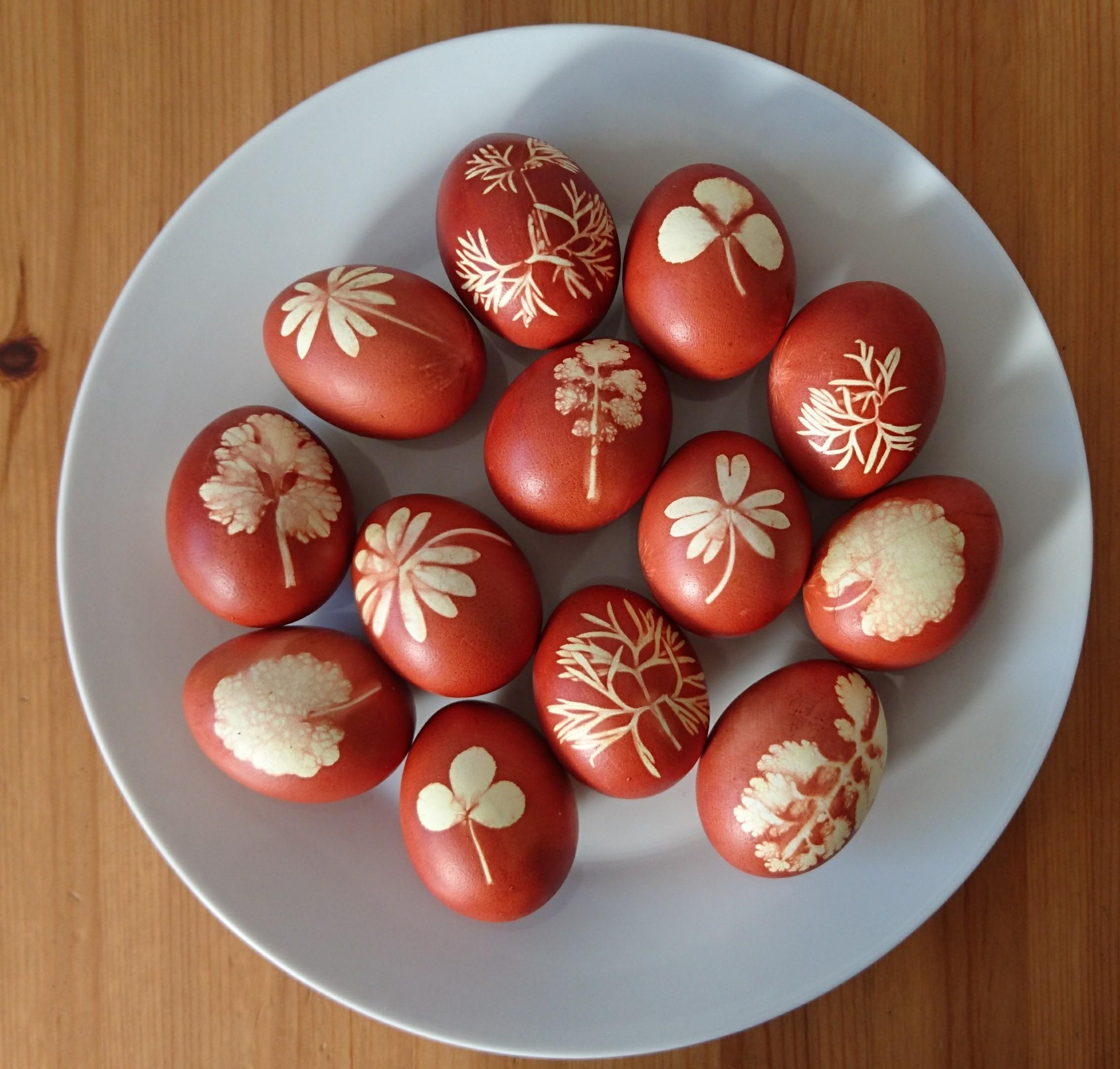 Natürlich gefärbte Eier - aus dem Zwiebelschalensud. Jedes Ei ein Unikat.
#Osterdiy #eierfärben #Ostereier #Natur