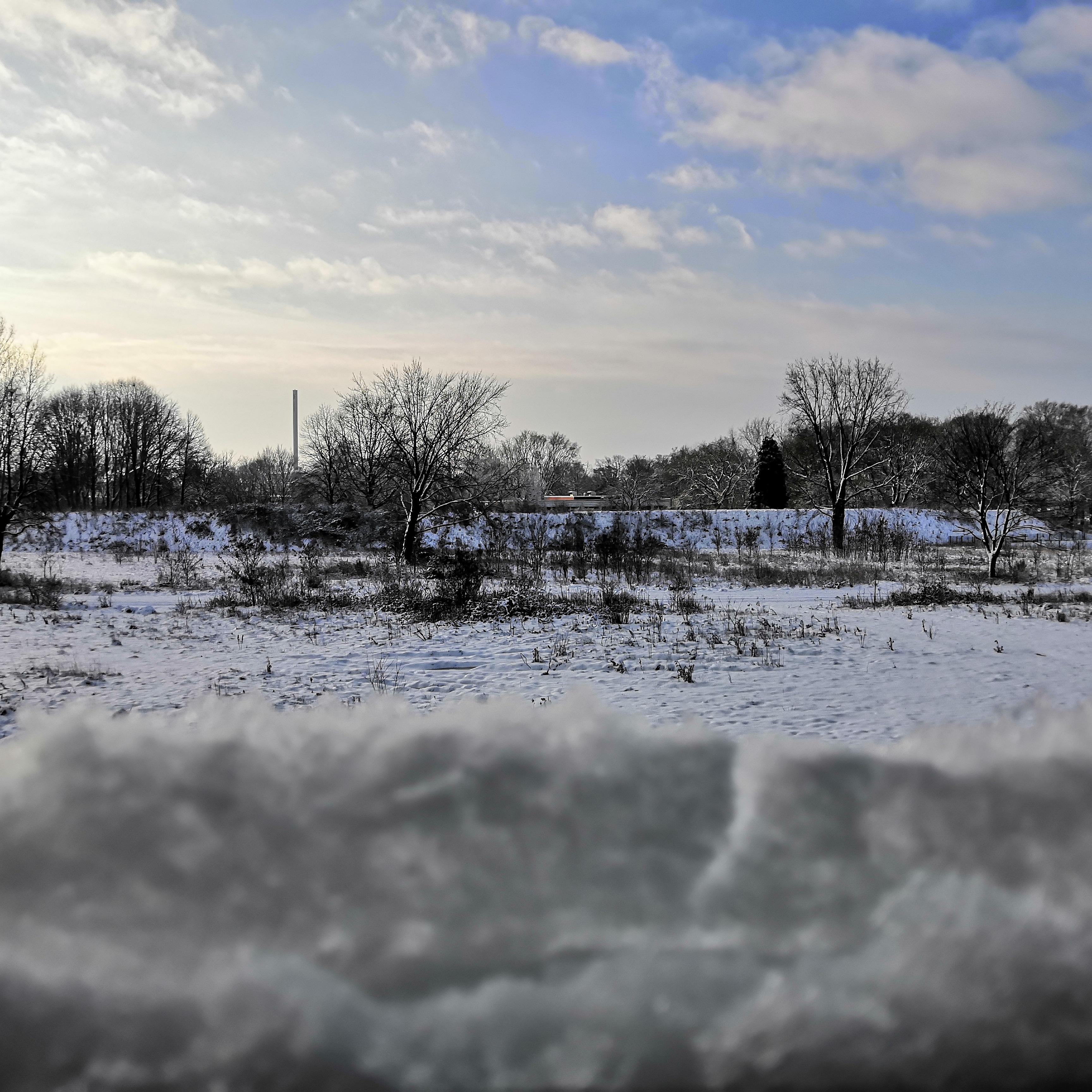 #natur #schnee #dülmen #blickausdemfenster 
