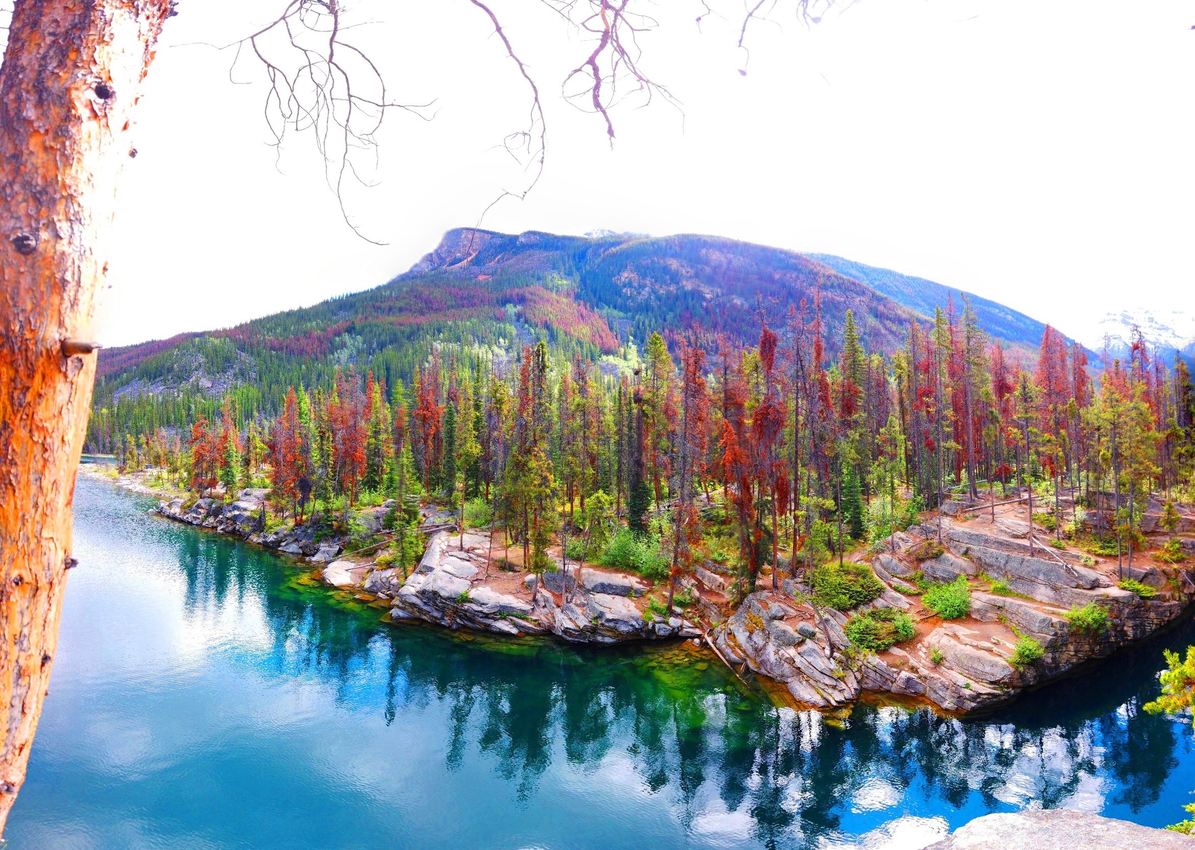 #naturliebe #travelchallenge
Die wahre Natur pur in Kanada!