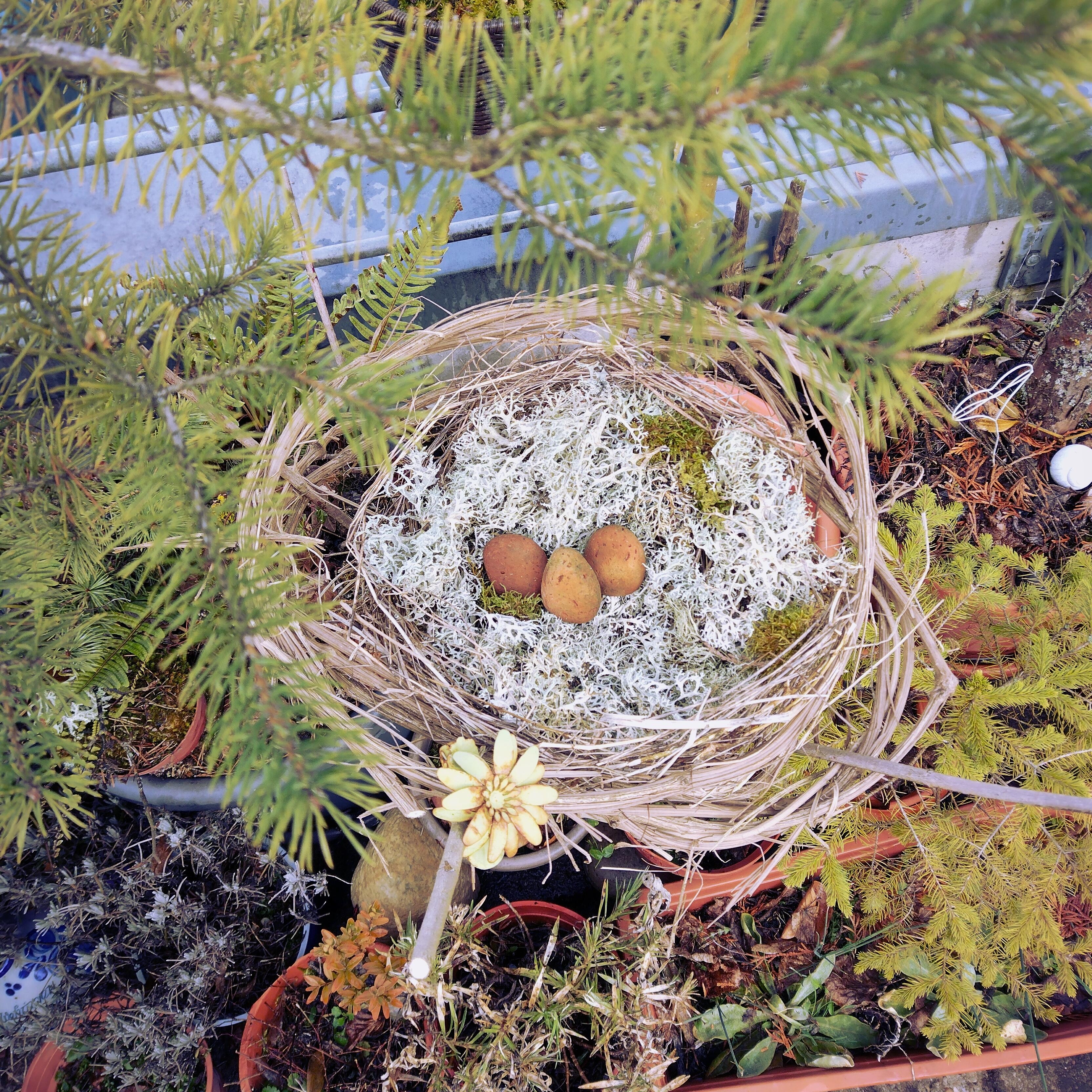#nest #vogelnest #diy #selbstgemacht #deko 