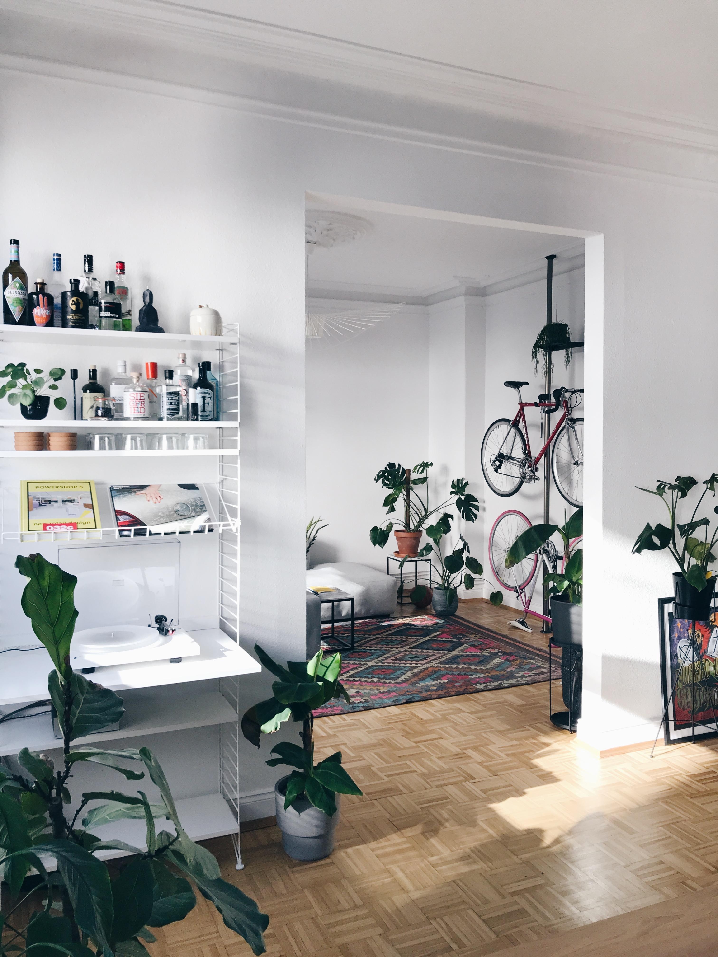 Neue Aussicht! #livingroom #shelfie #urbanjungle #stringfurniture #minibar #gin #bikes #altbau #plattenspieler #plants 