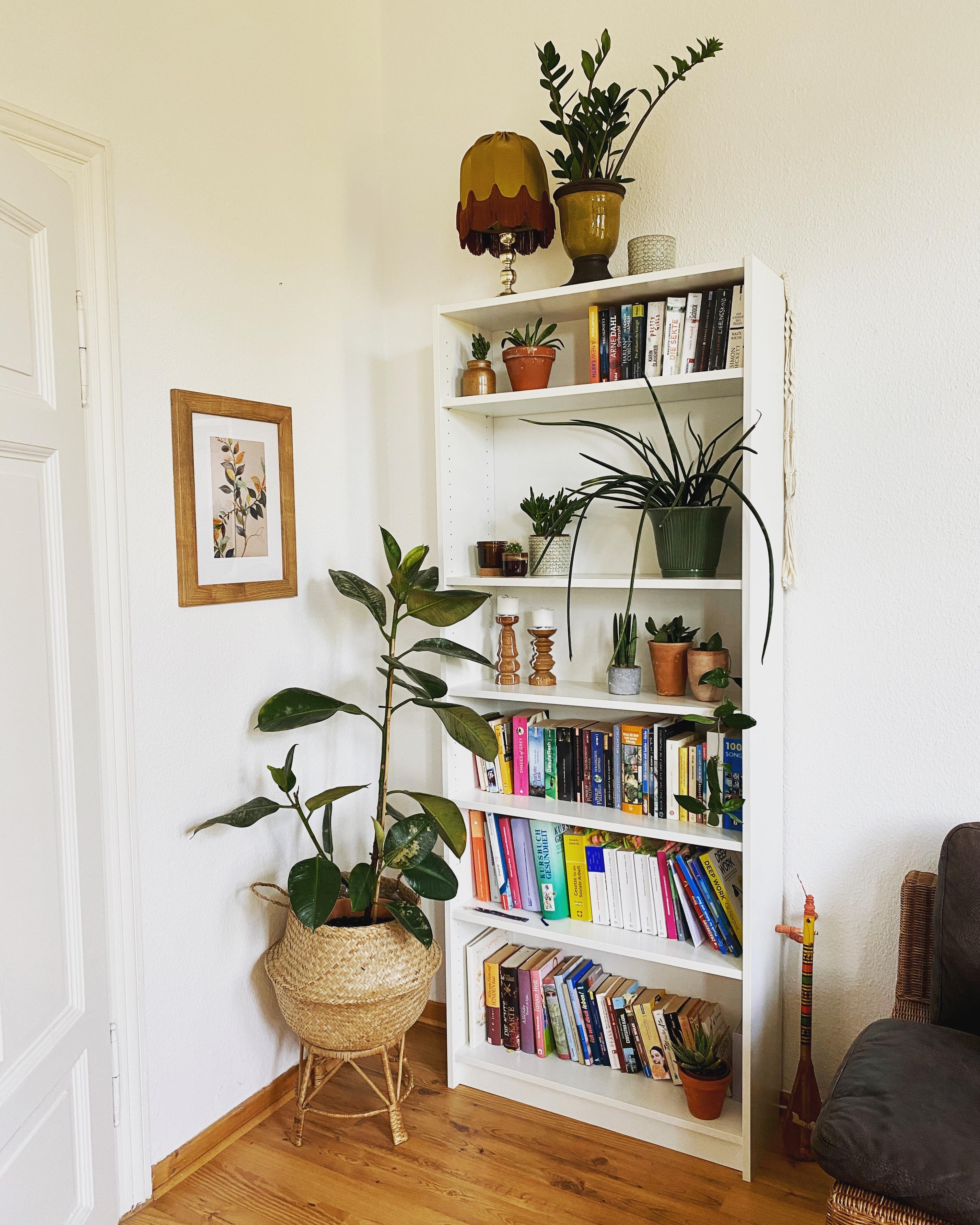 Neue Bücherecke 📚🪴
#bücherregal #billyregal #ikeabilly #vintage #plants #wohnzimmer #altbau