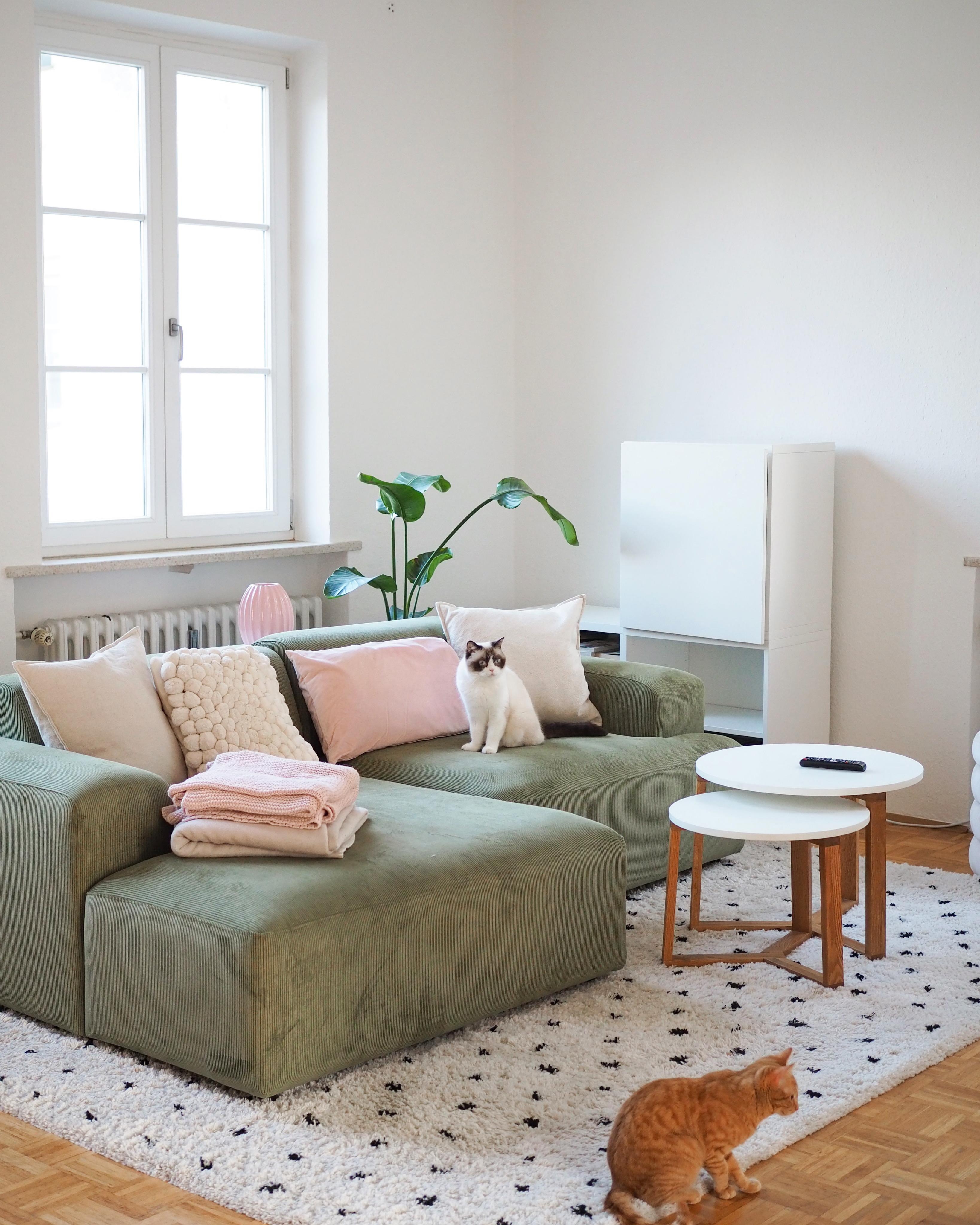 Neue Couch 🥰 Bin im Grünfieber
#couch #sofa #skandihome #mutzurfarbe #pinklove #scandi #wohnzimmer 