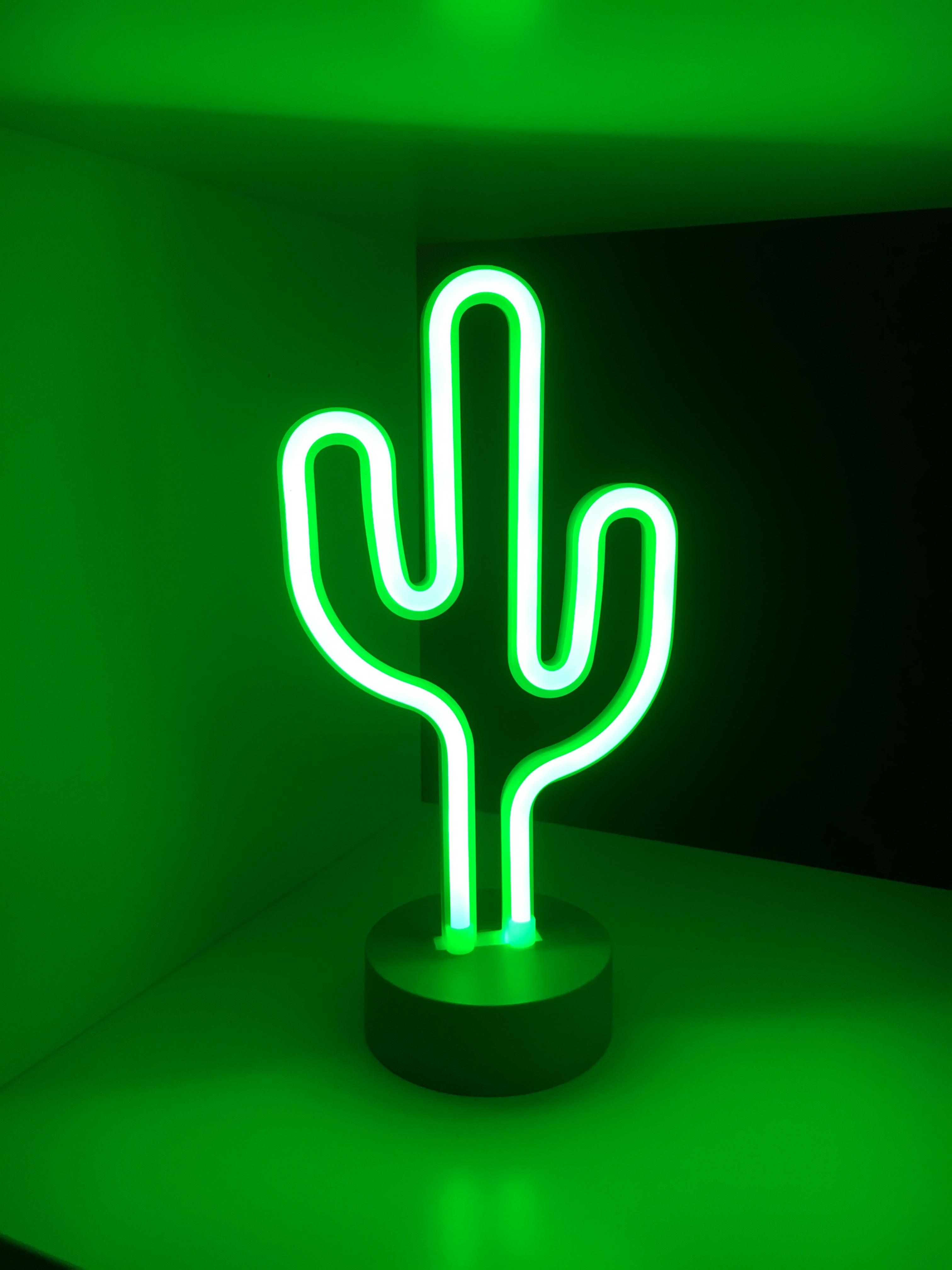 Neue Deko 🌵 #neon #lights #deko #kaktus #love #schlafzimmer 