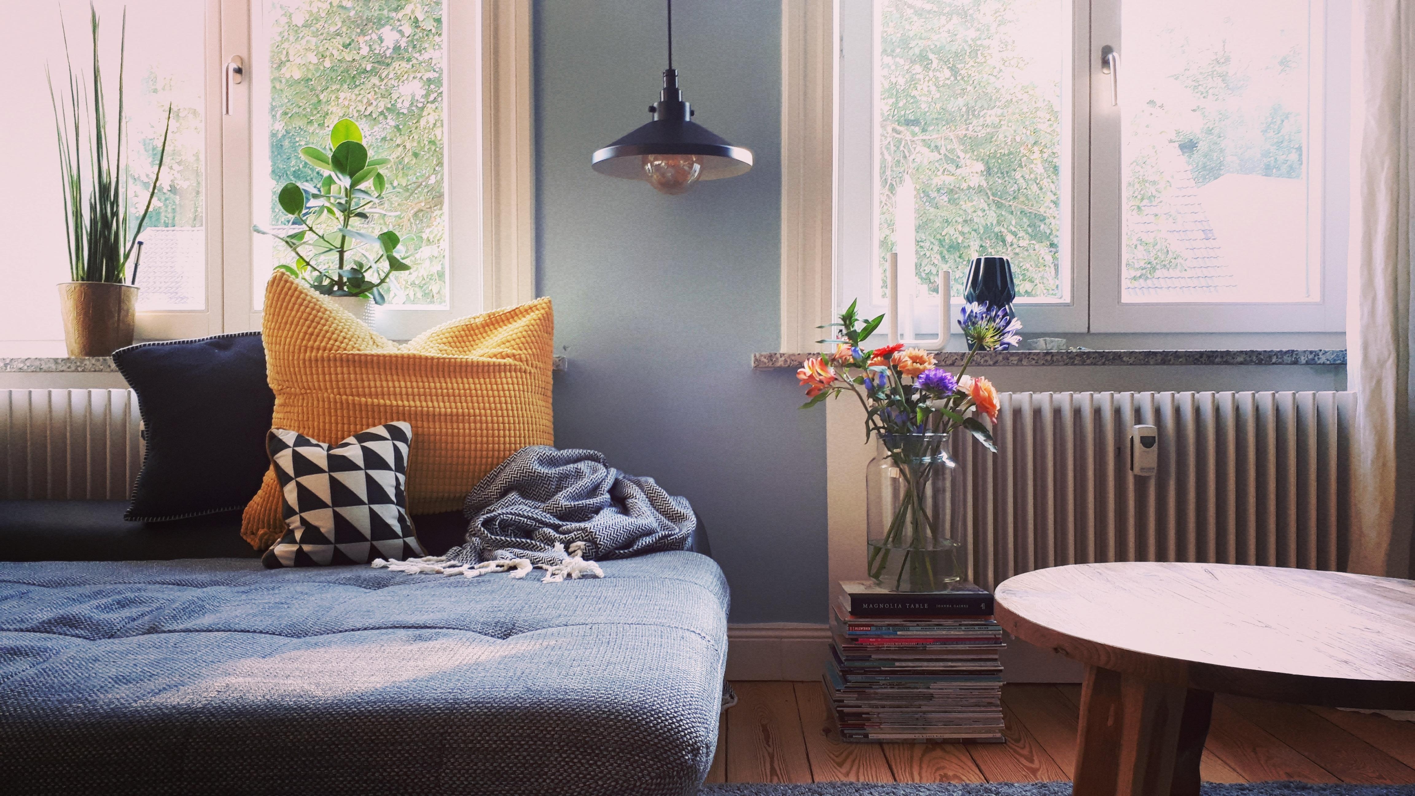 Neue Lampe im Wohnzimmer 💕
#Wohnzimmer #Lampe #Altbau #Altbauliebe #Couch #blaue Wand #Fenster #Hamburg #Blumen #Pflanz