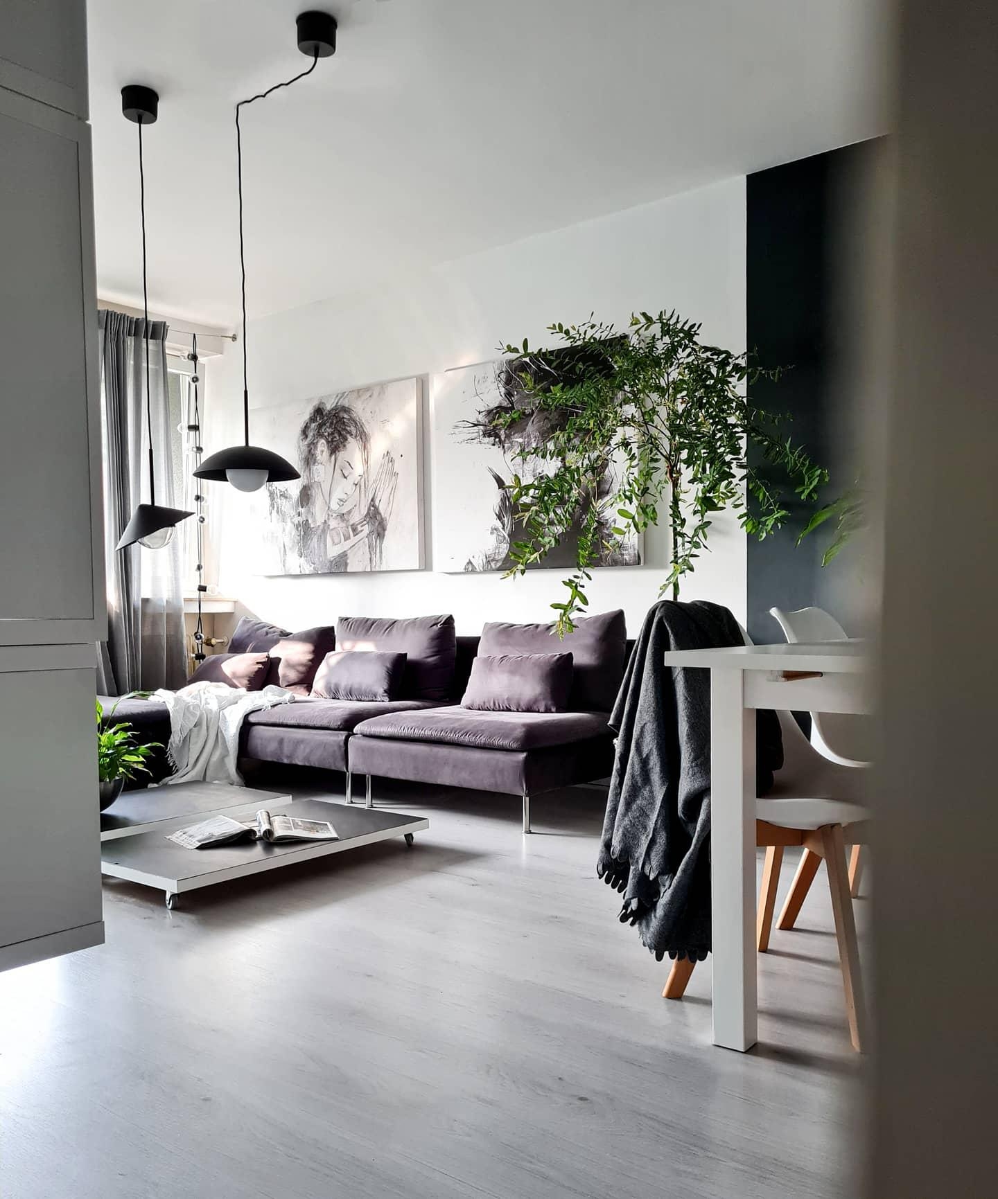 Neue Lampen 🙃✌
#newin #wohnzimmer #livingroom #couch #pflanzen #meinzuhause #livingroominspo