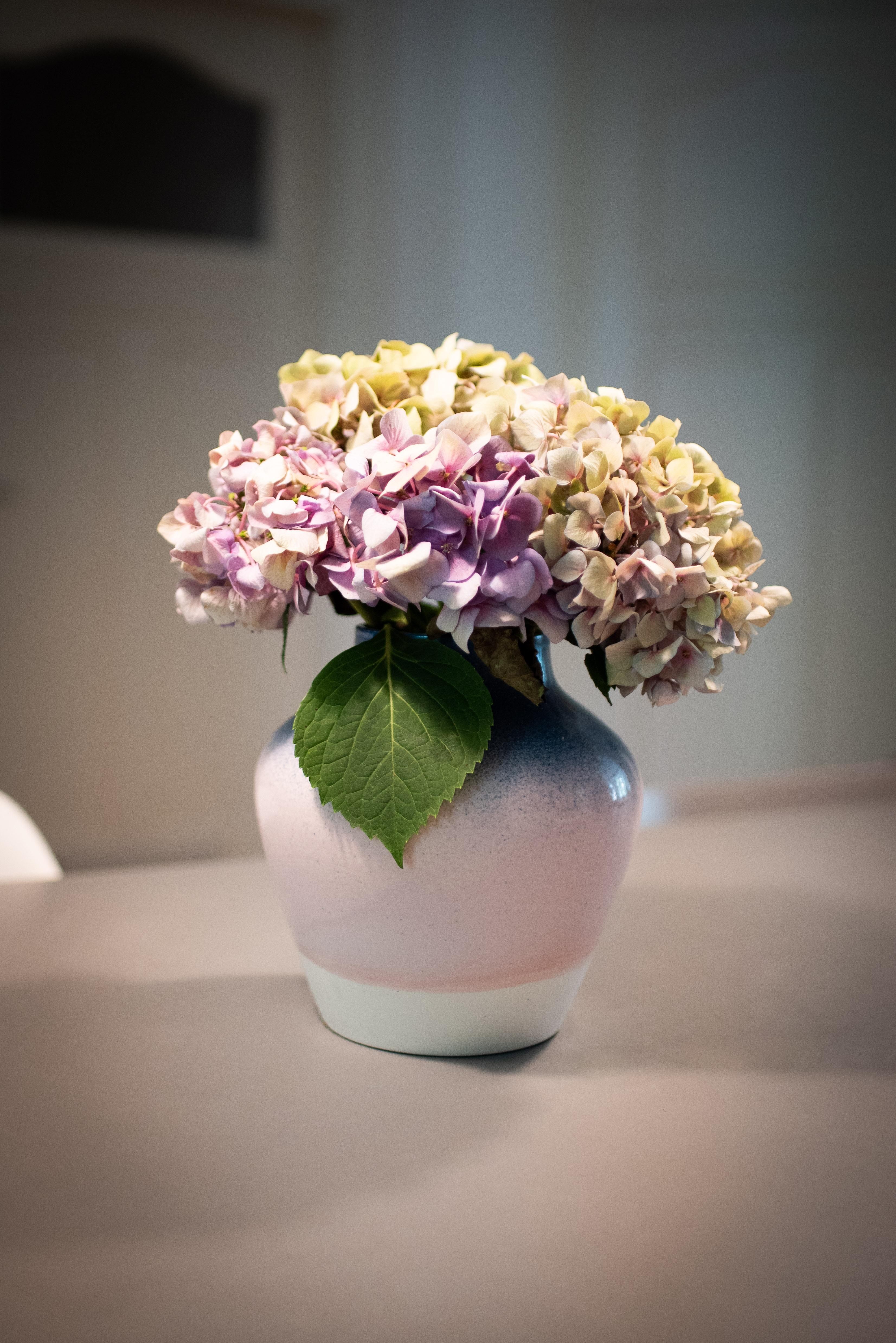 Neue Vase 💜💜💜 #interiorinspo #vase #deko #flowers #newin #interiorstyle