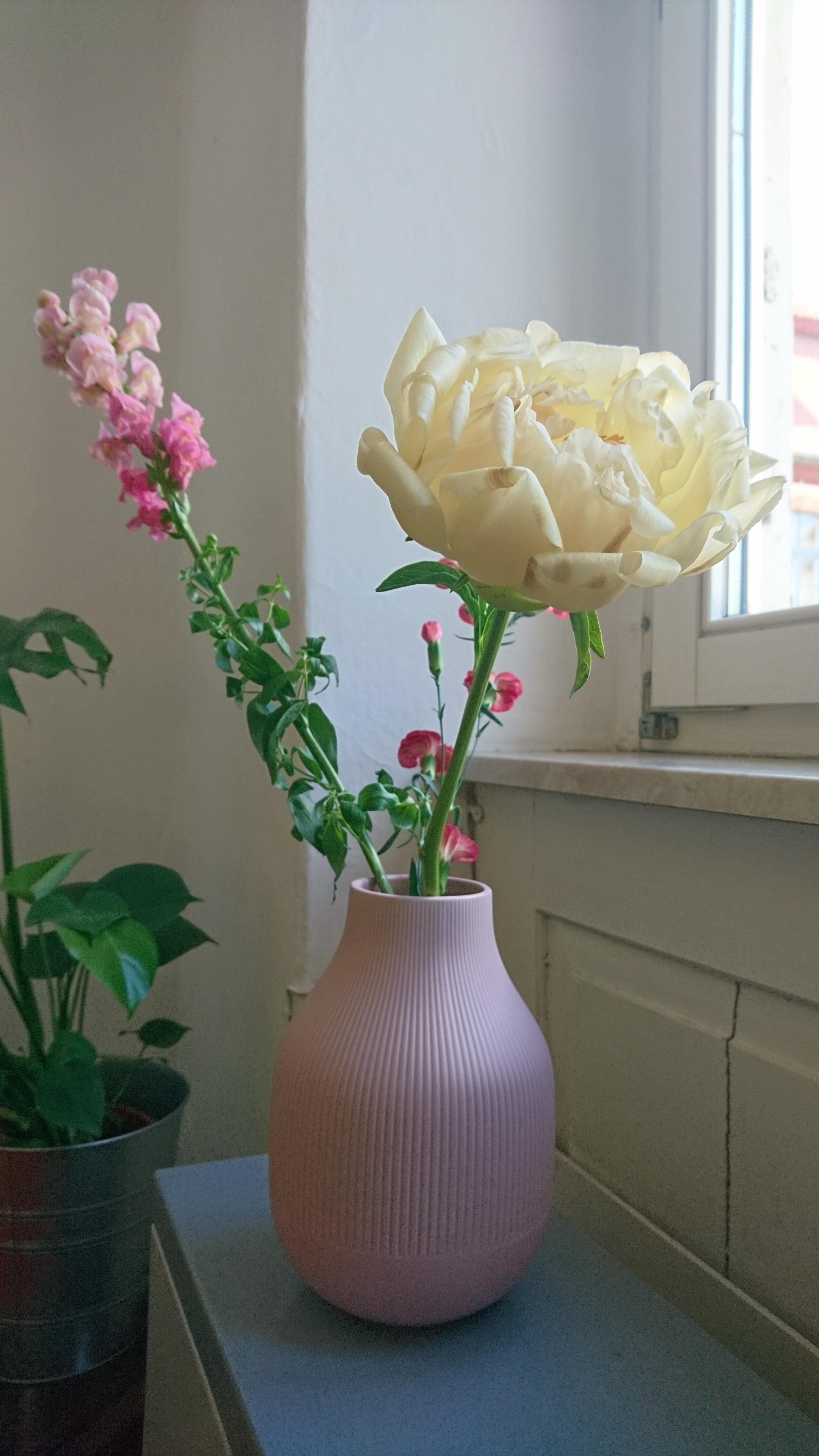 Neue Vase und #pfingstrosen 😍 Oke nur eine 😇 #pink #deko #freshflowerfriday 