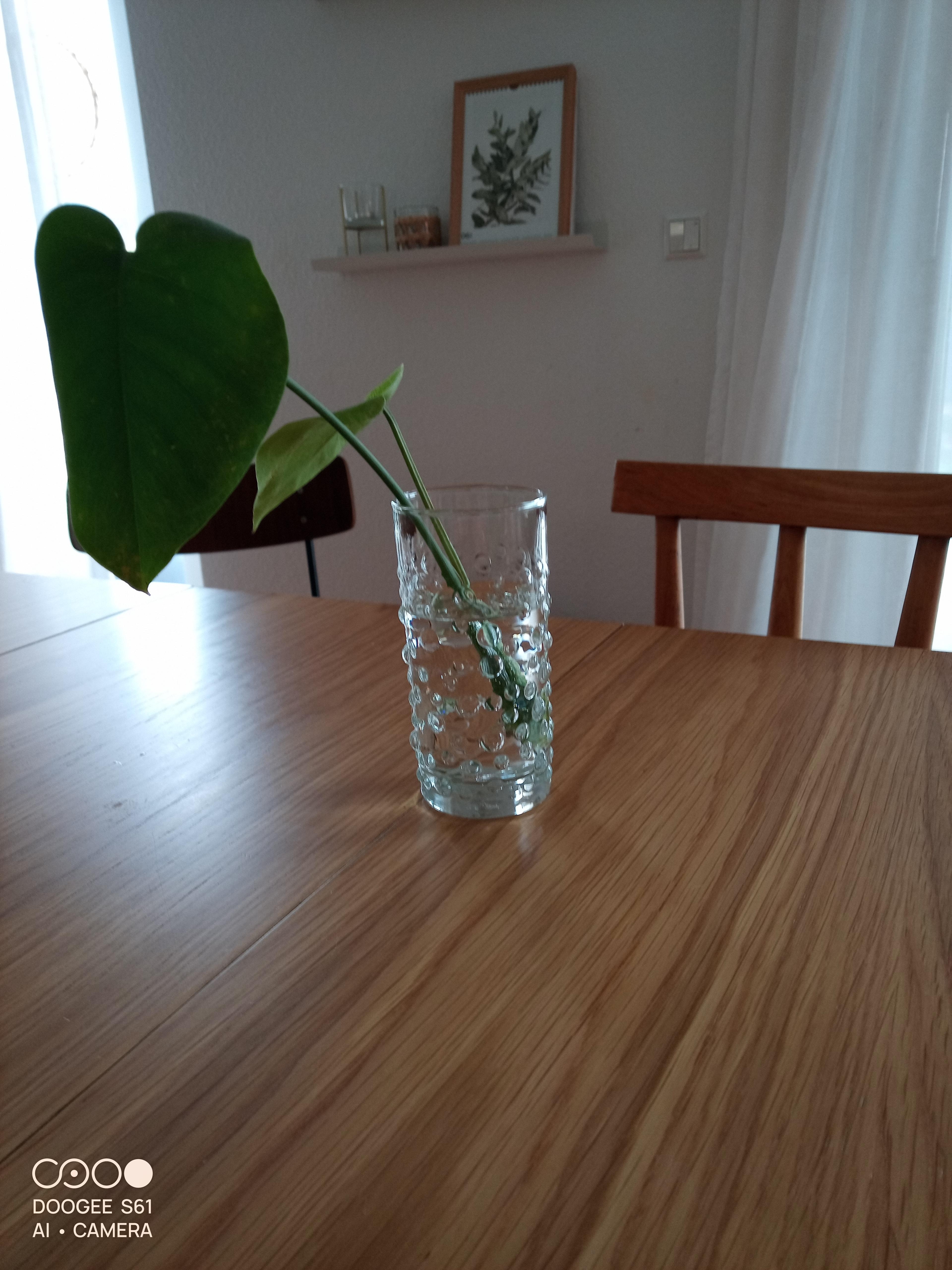 Neue Vase/Glas von Oma

#bubble