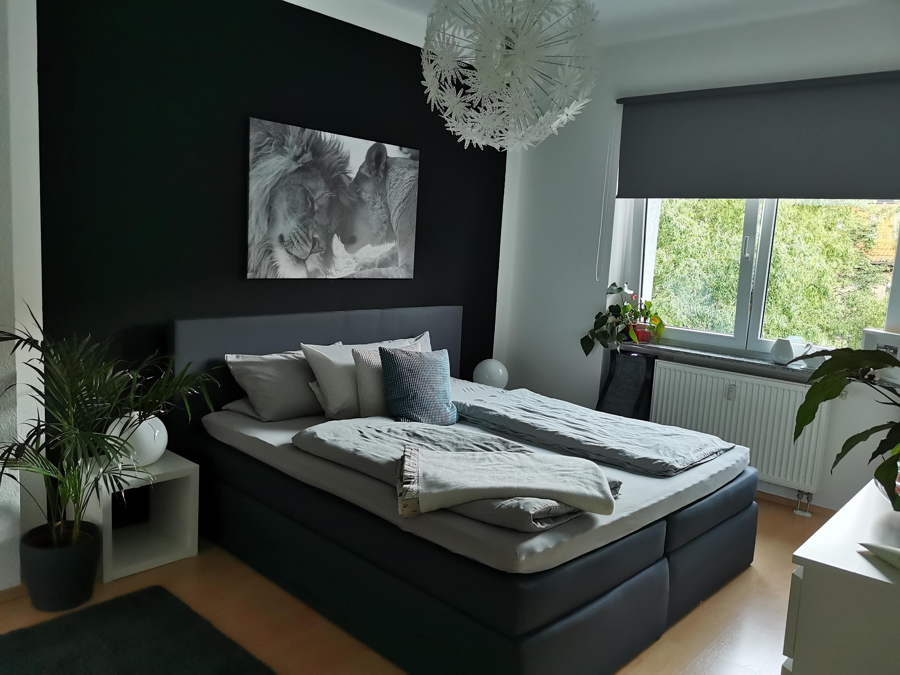 Neue Wandfarbe im Schlafzimmer - ich liebe es... 
#bedroom #blackandwhite #newstyle